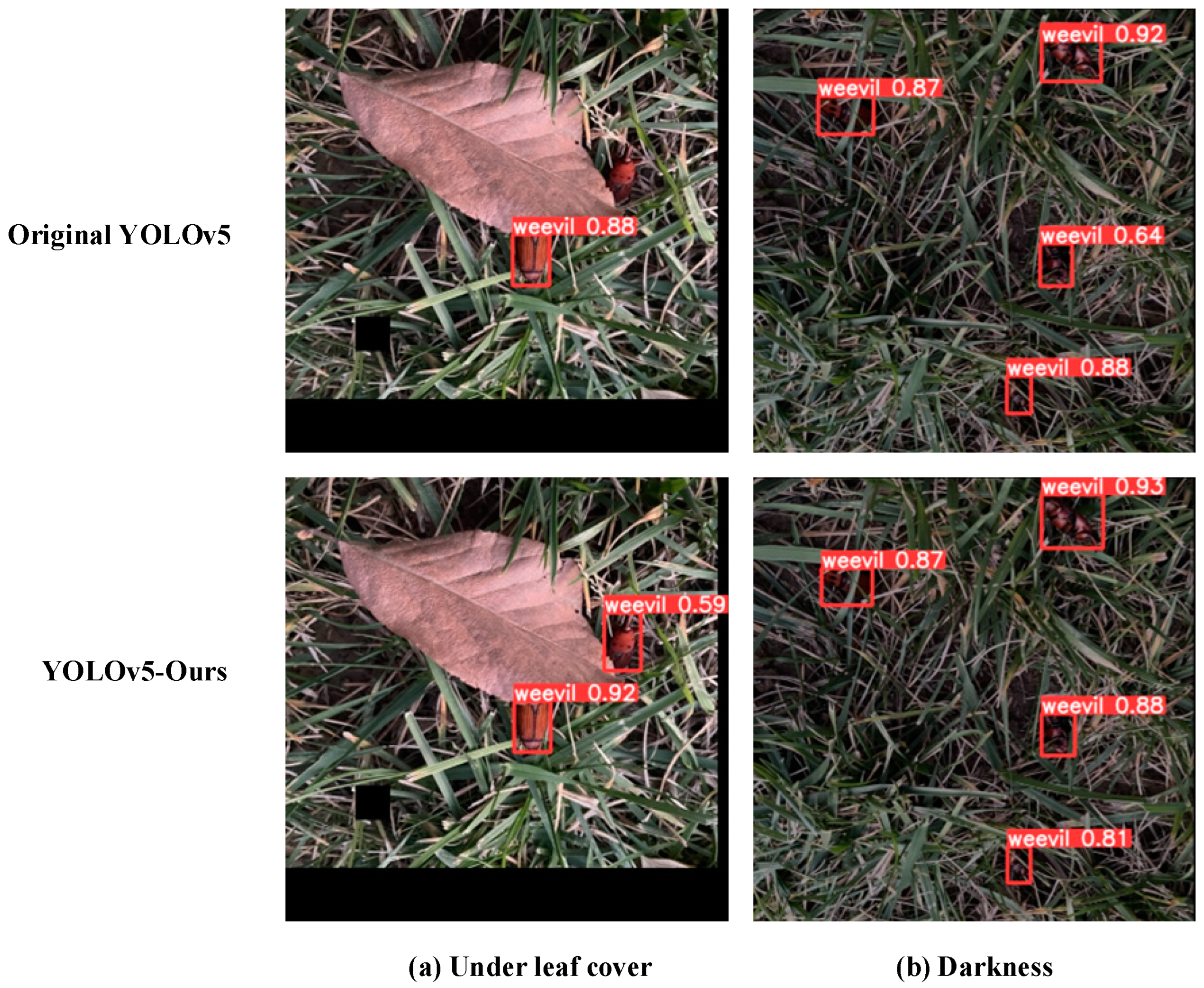 Insects 16 00219 g009