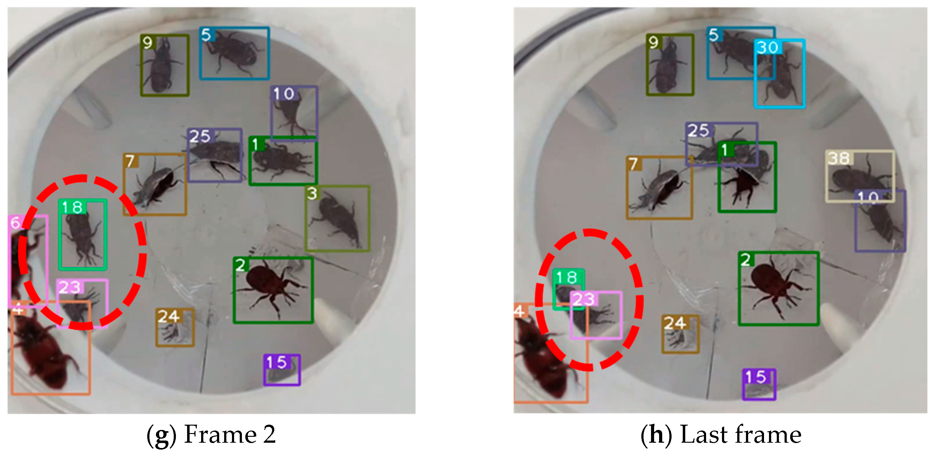 Insects 16 00219 g010b
