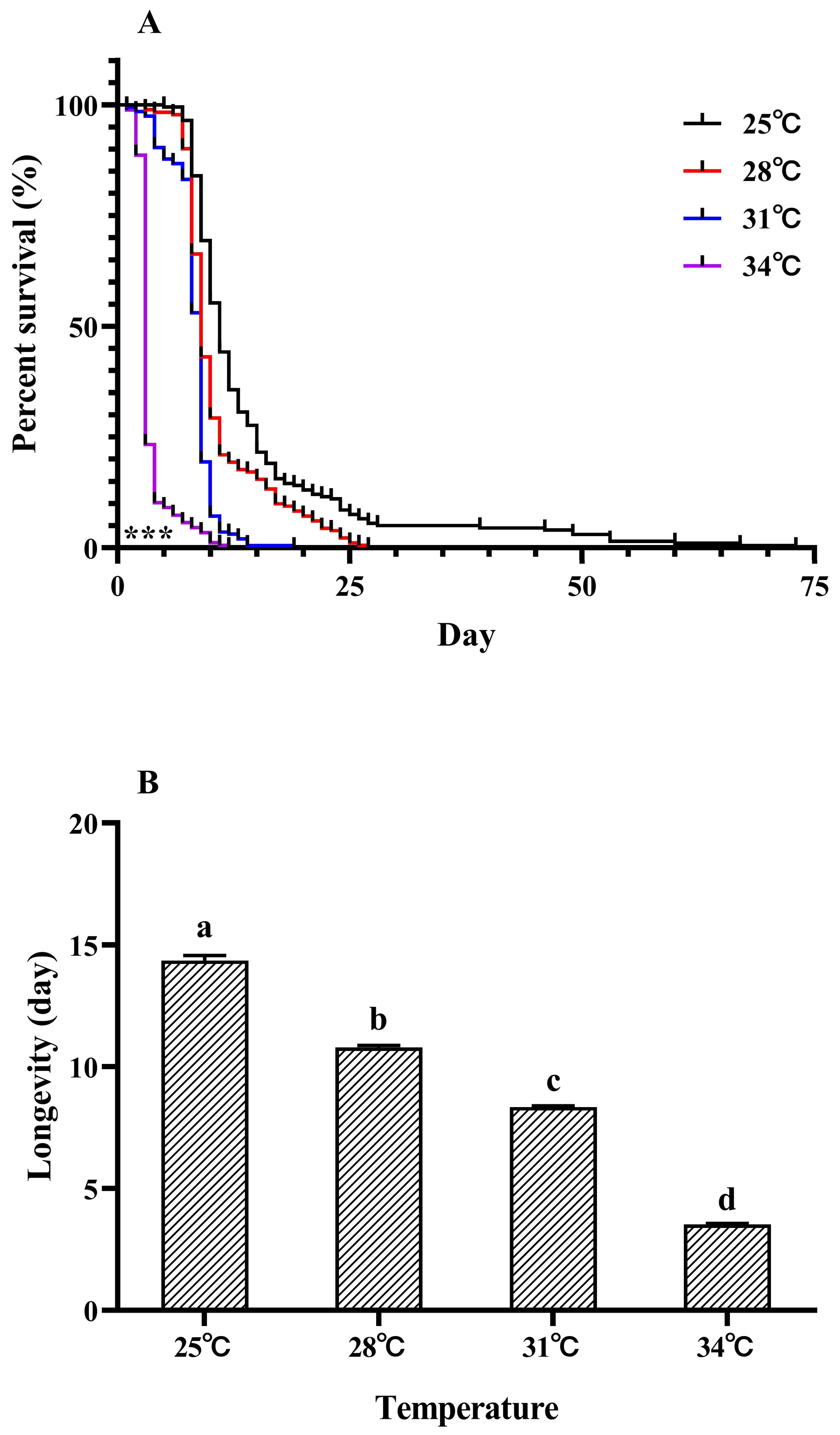 Impact of Different Temperatures on Activity of the Pest