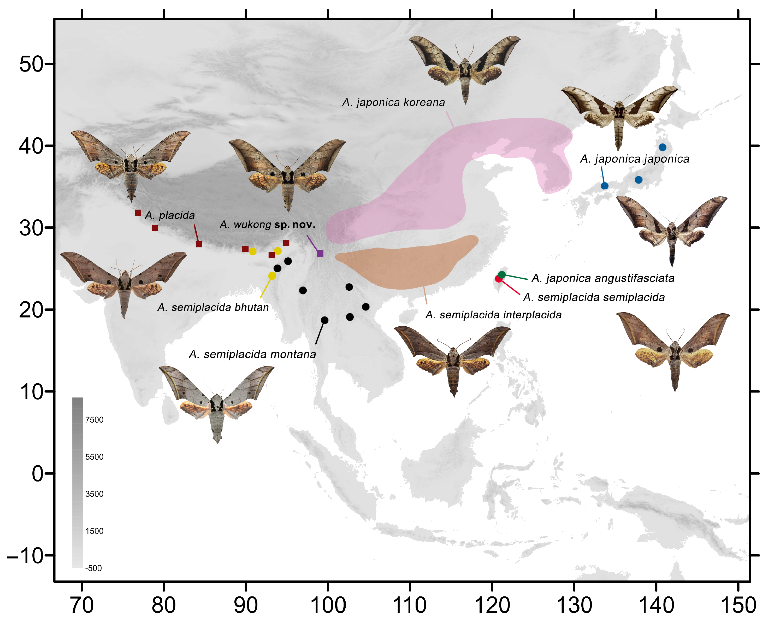 Insects 16 00223 g001