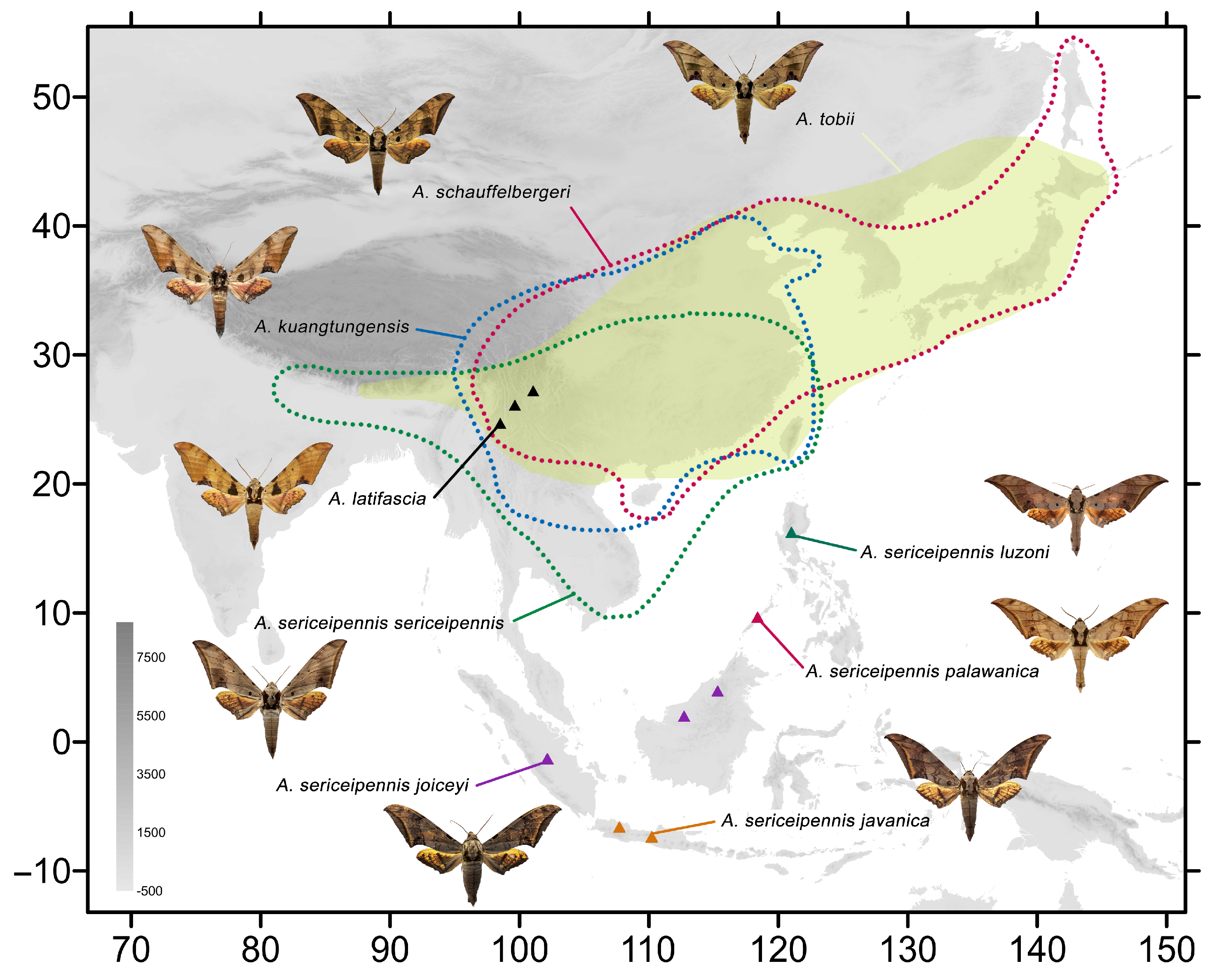 Insects 16 00223 g002