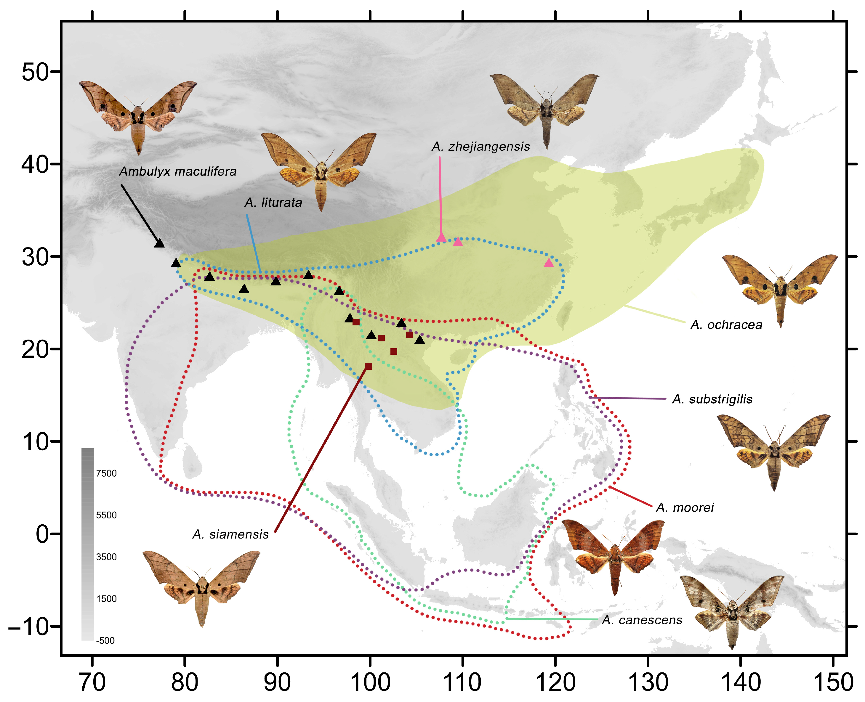 Insects 16 00223 g003
