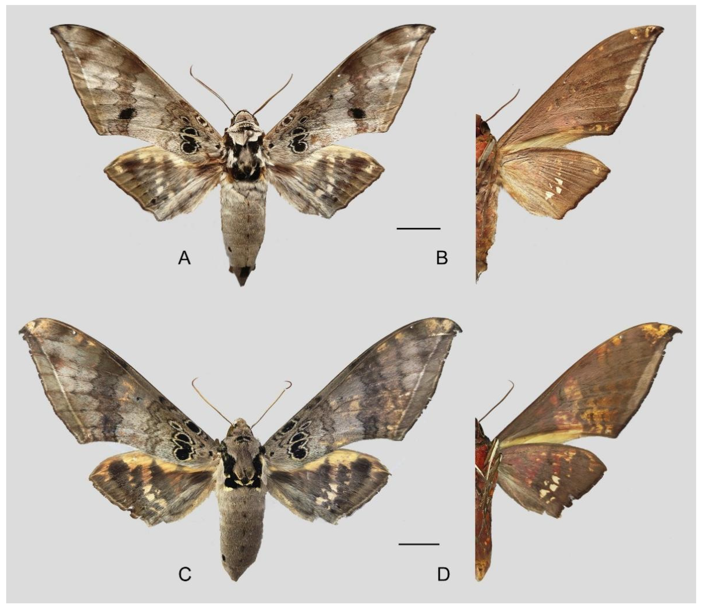 Insects 16 00223 g006