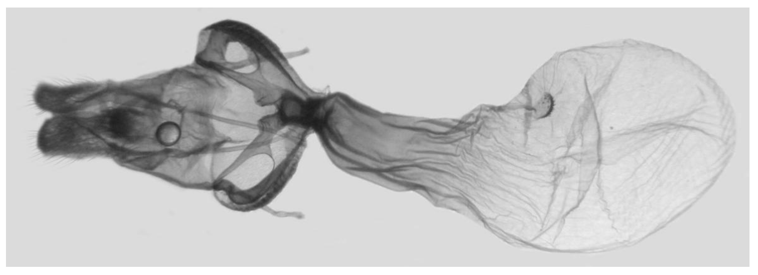 Insects 16 00223 g008