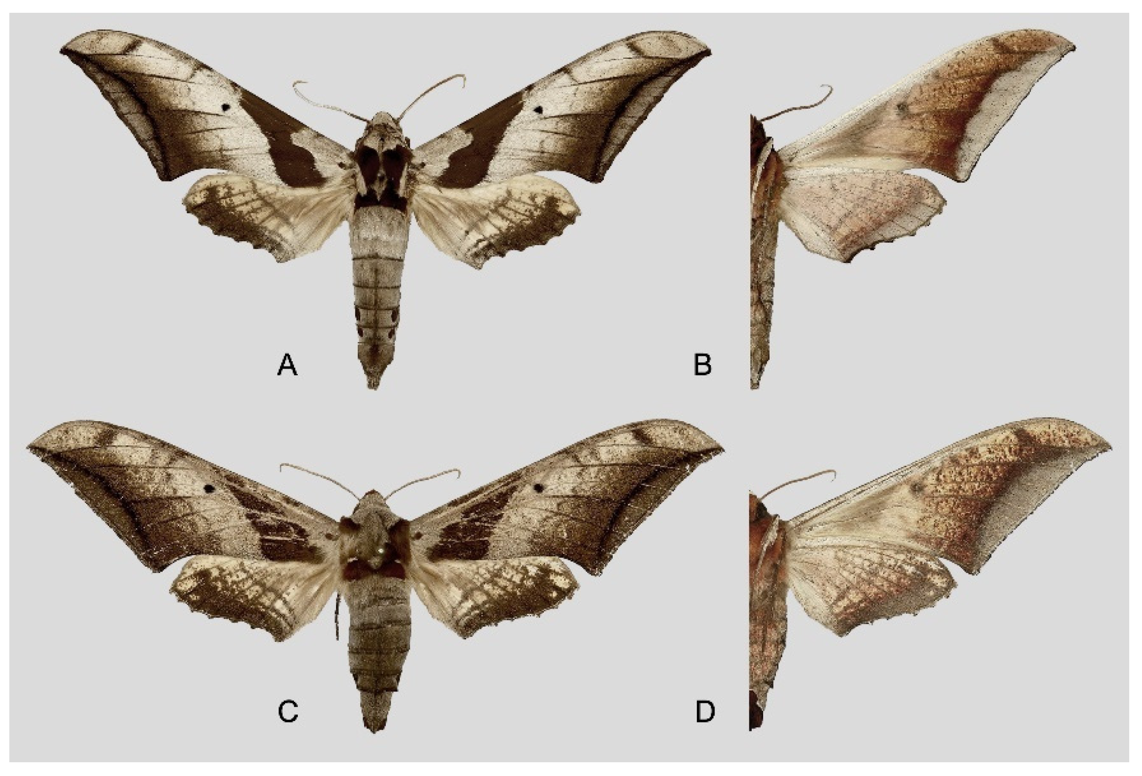 Insects 16 00223 g010