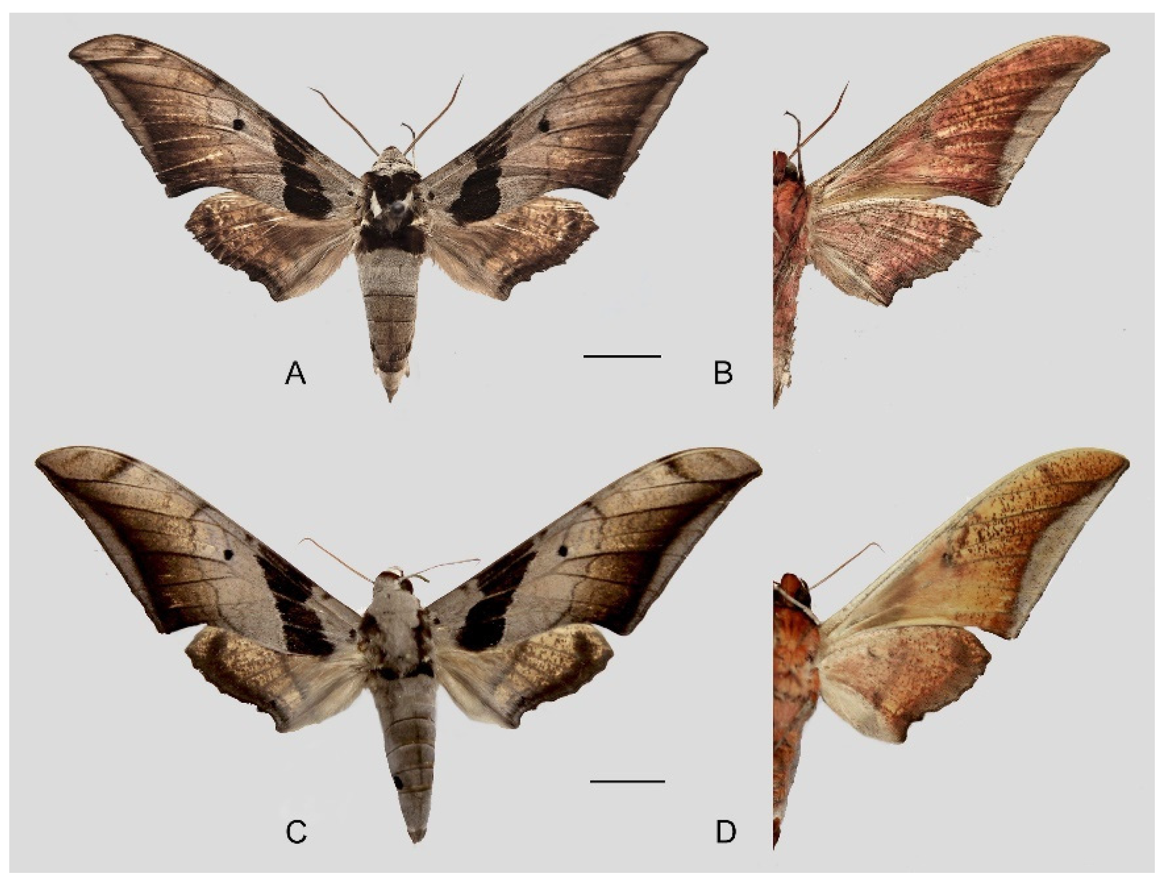 Insects 16 00223 g014