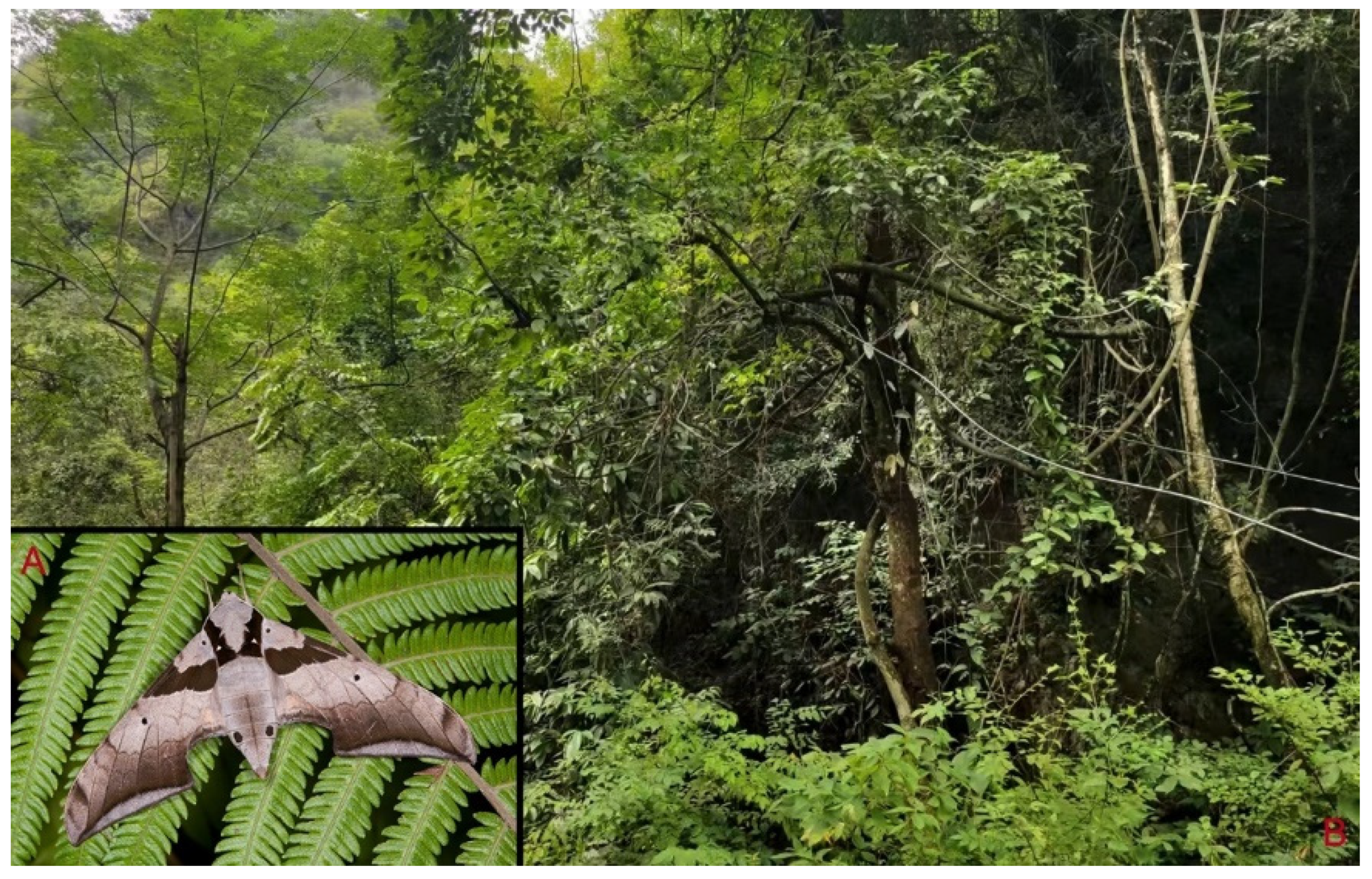 Insects 16 00223 g016