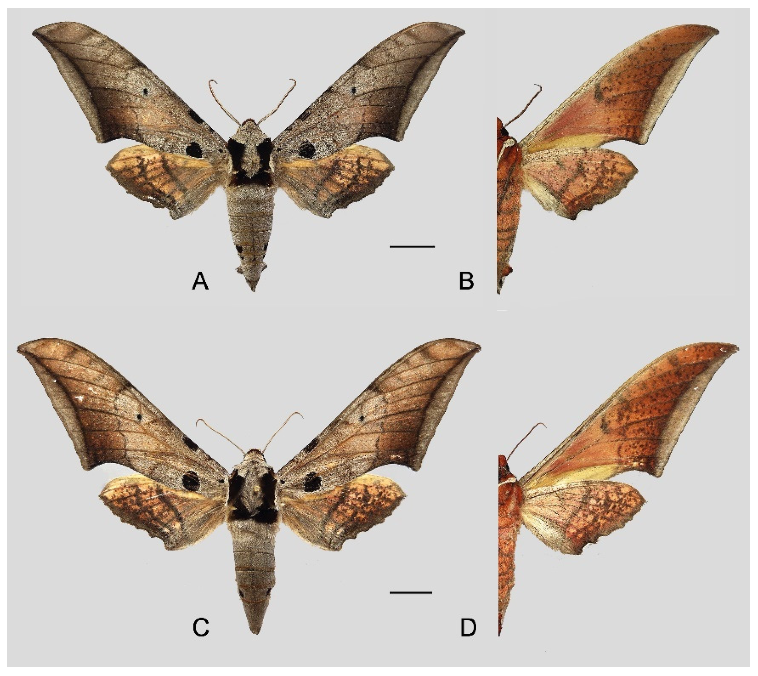 Insects 16 00223 g021
