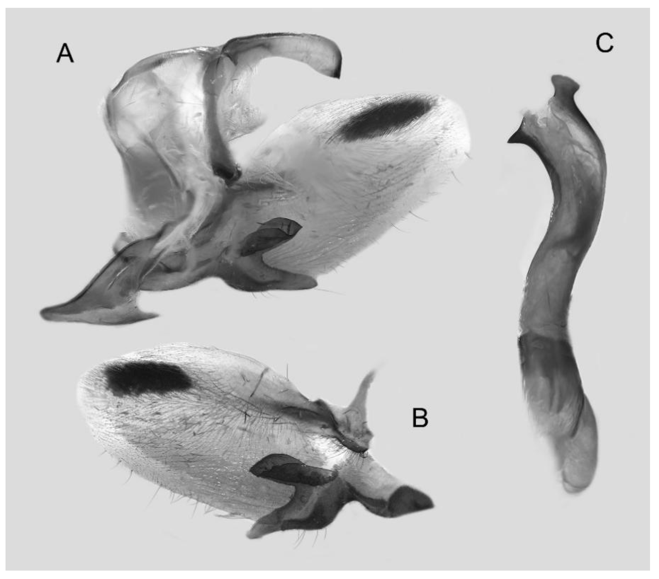 Insects 16 00223 g022