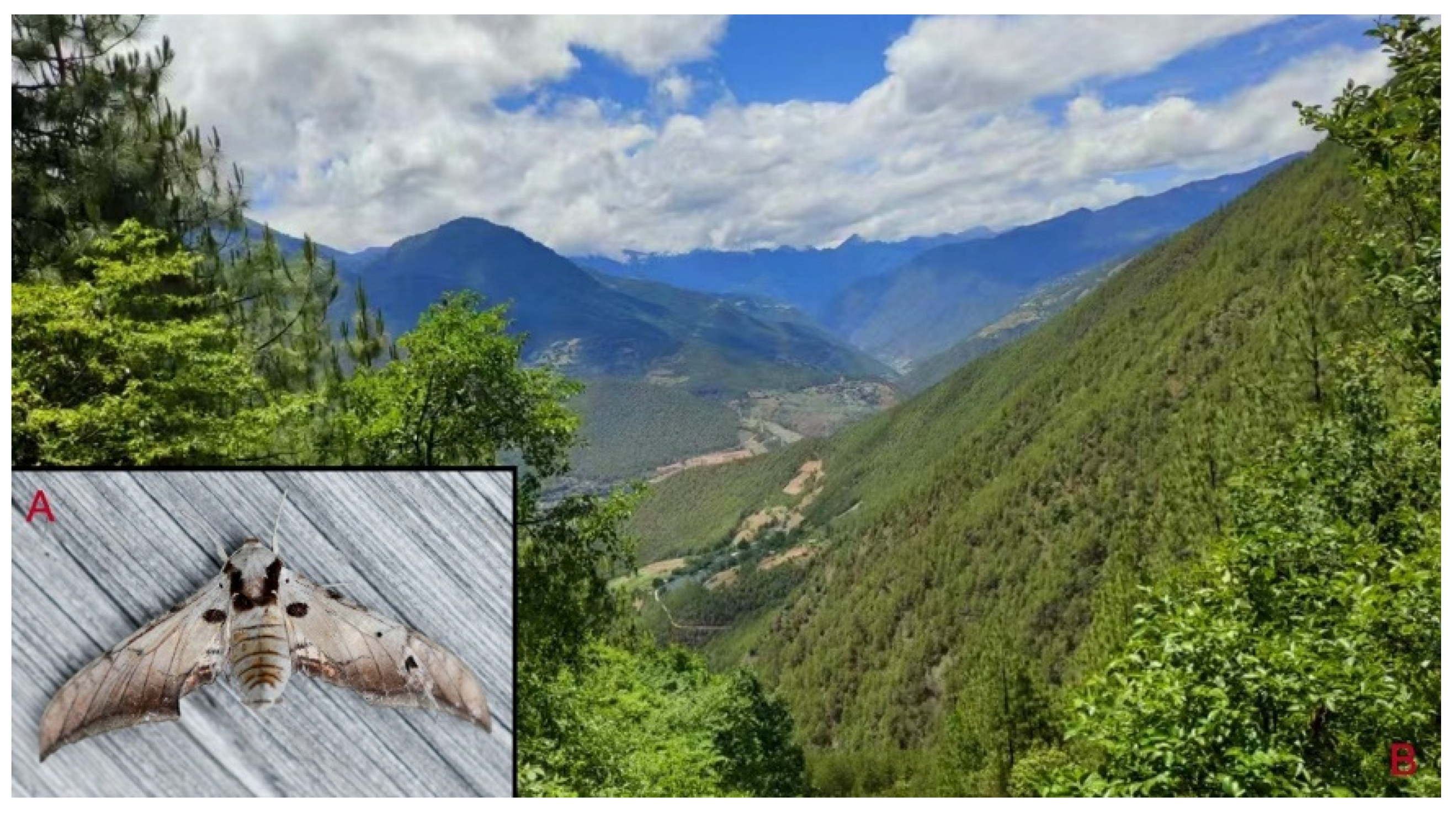 Insects 16 00223 g024