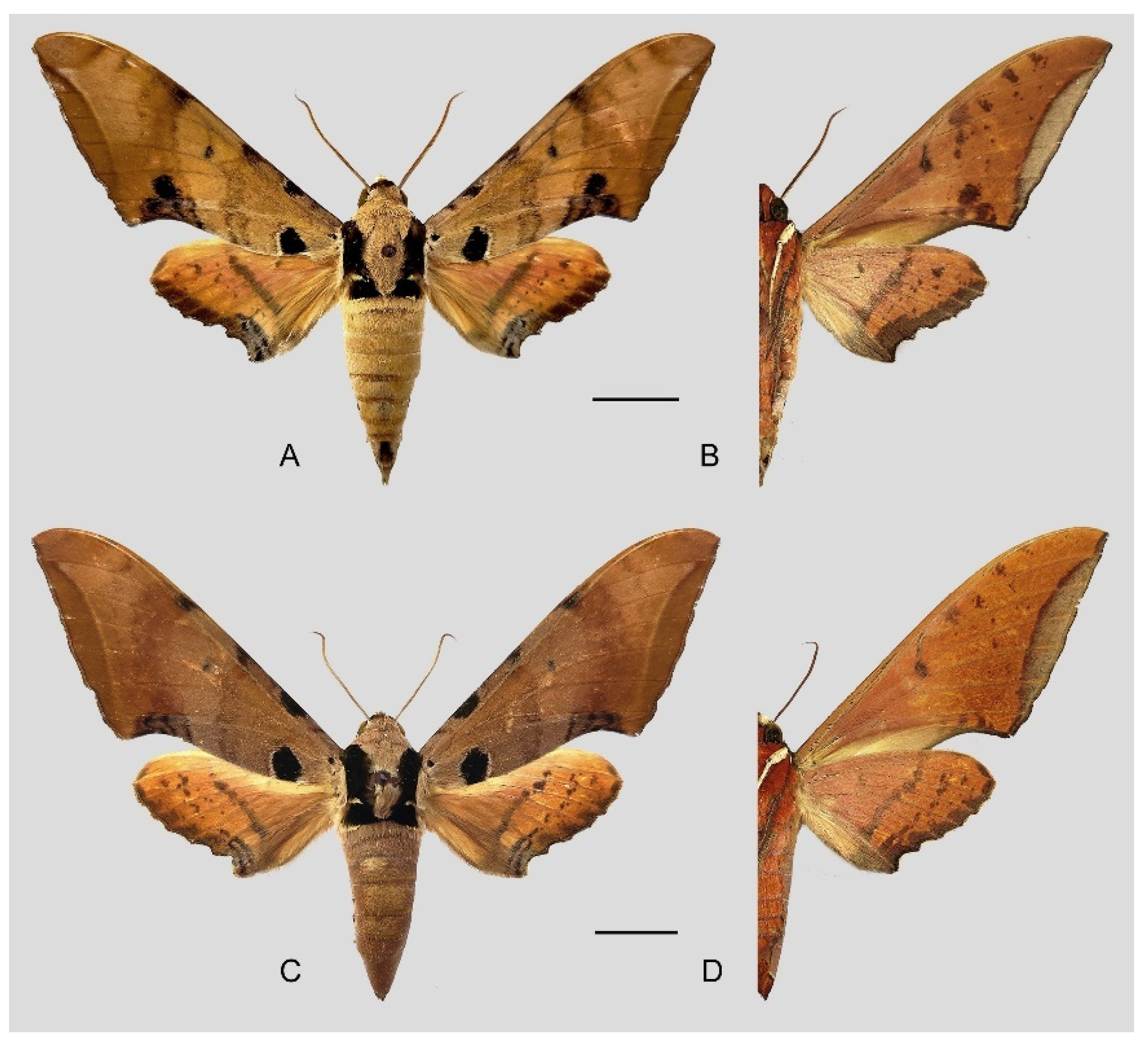 Insects 16 00223 g025