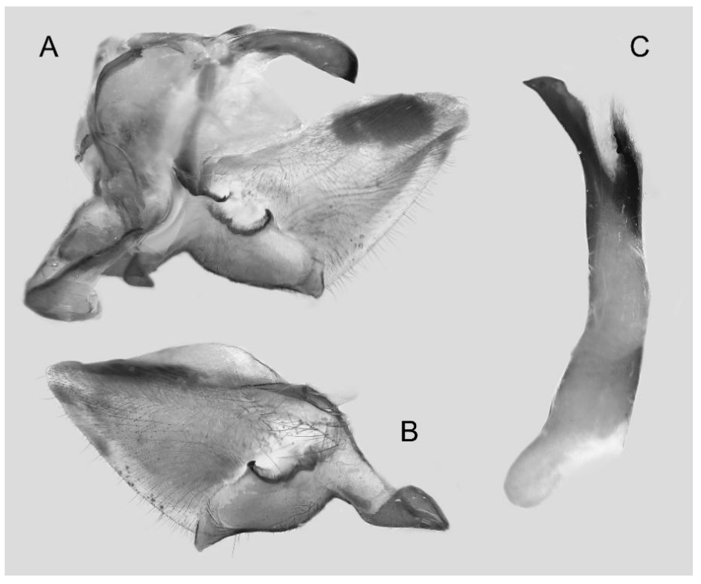 Insects 16 00223 g026