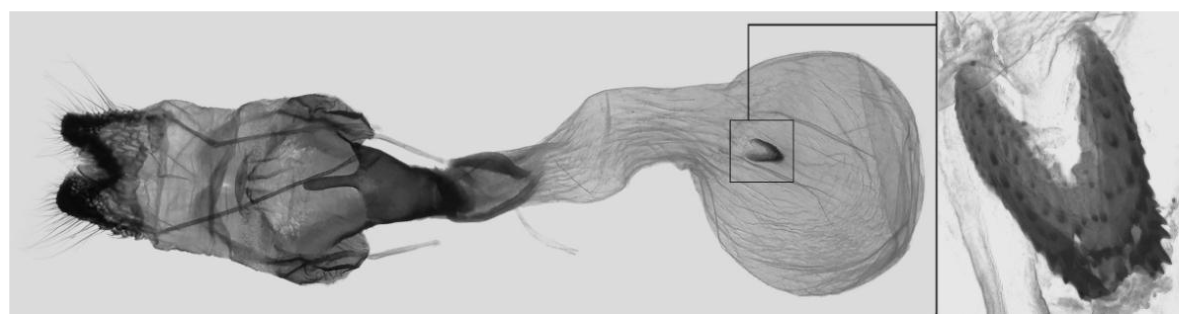 Insects 16 00223 g027