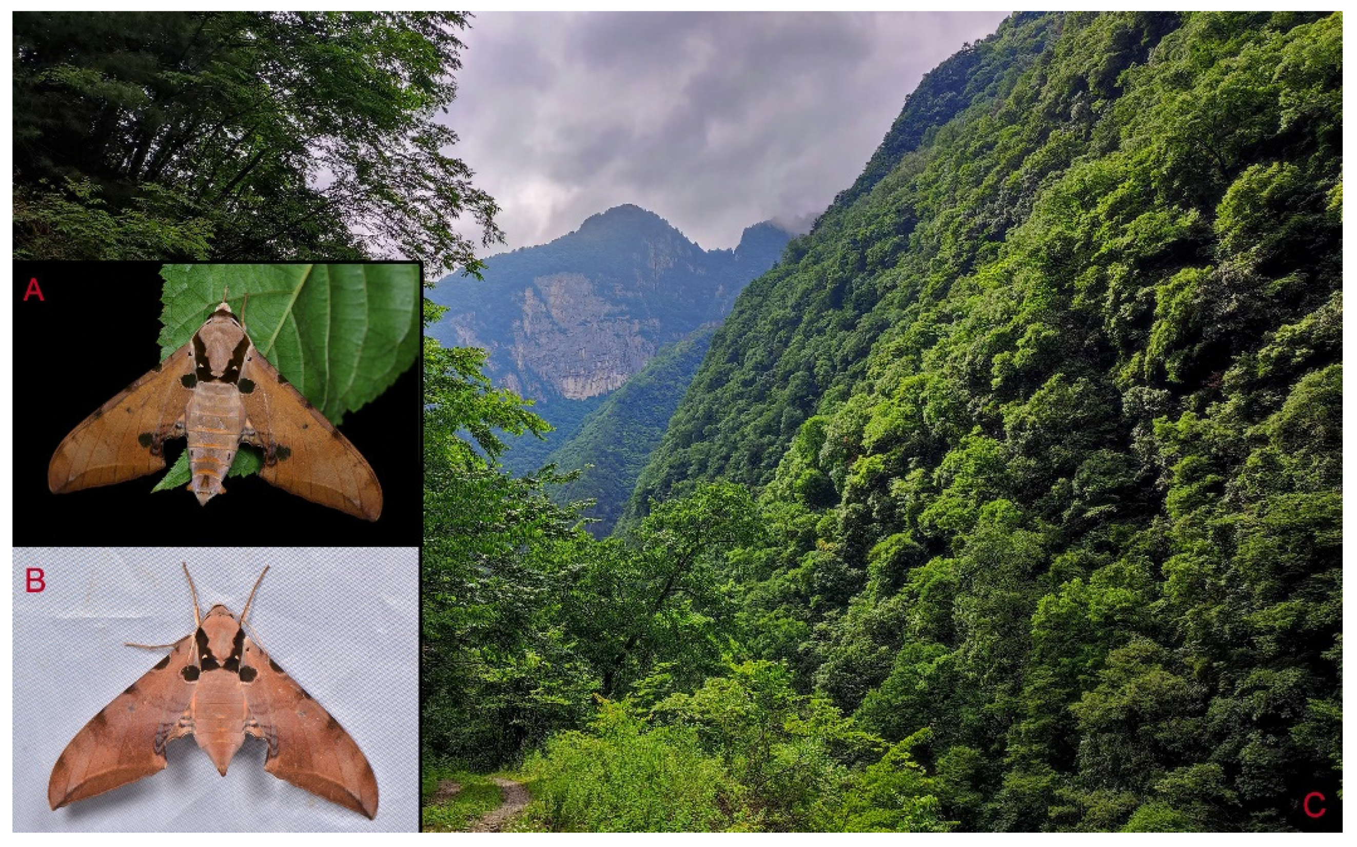 Insects 16 00223 g028