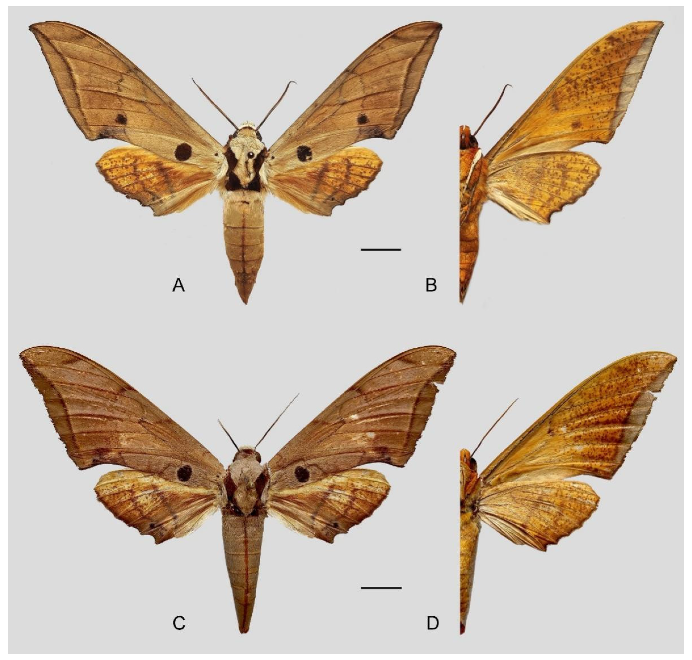 Insects 16 00223 g033