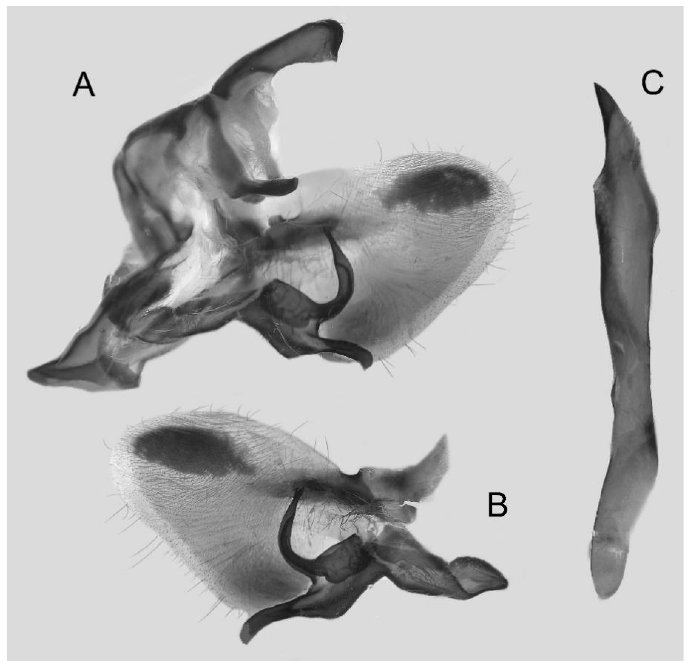 Insects 16 00223 g038