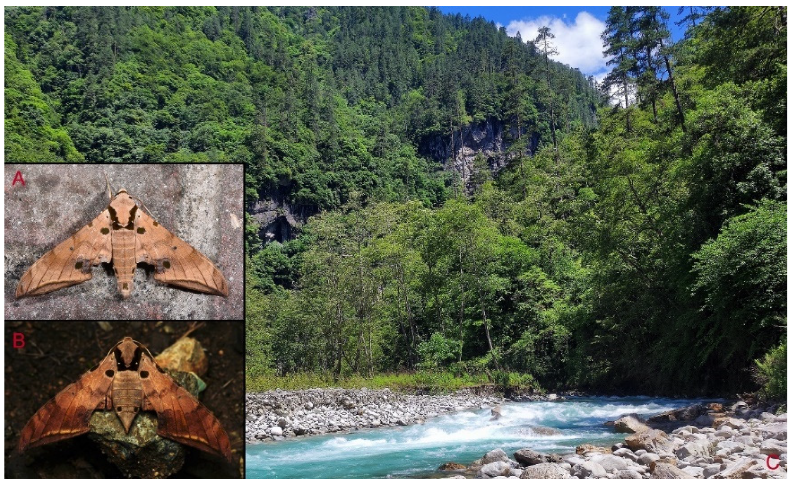 Insects 16 00223 g040