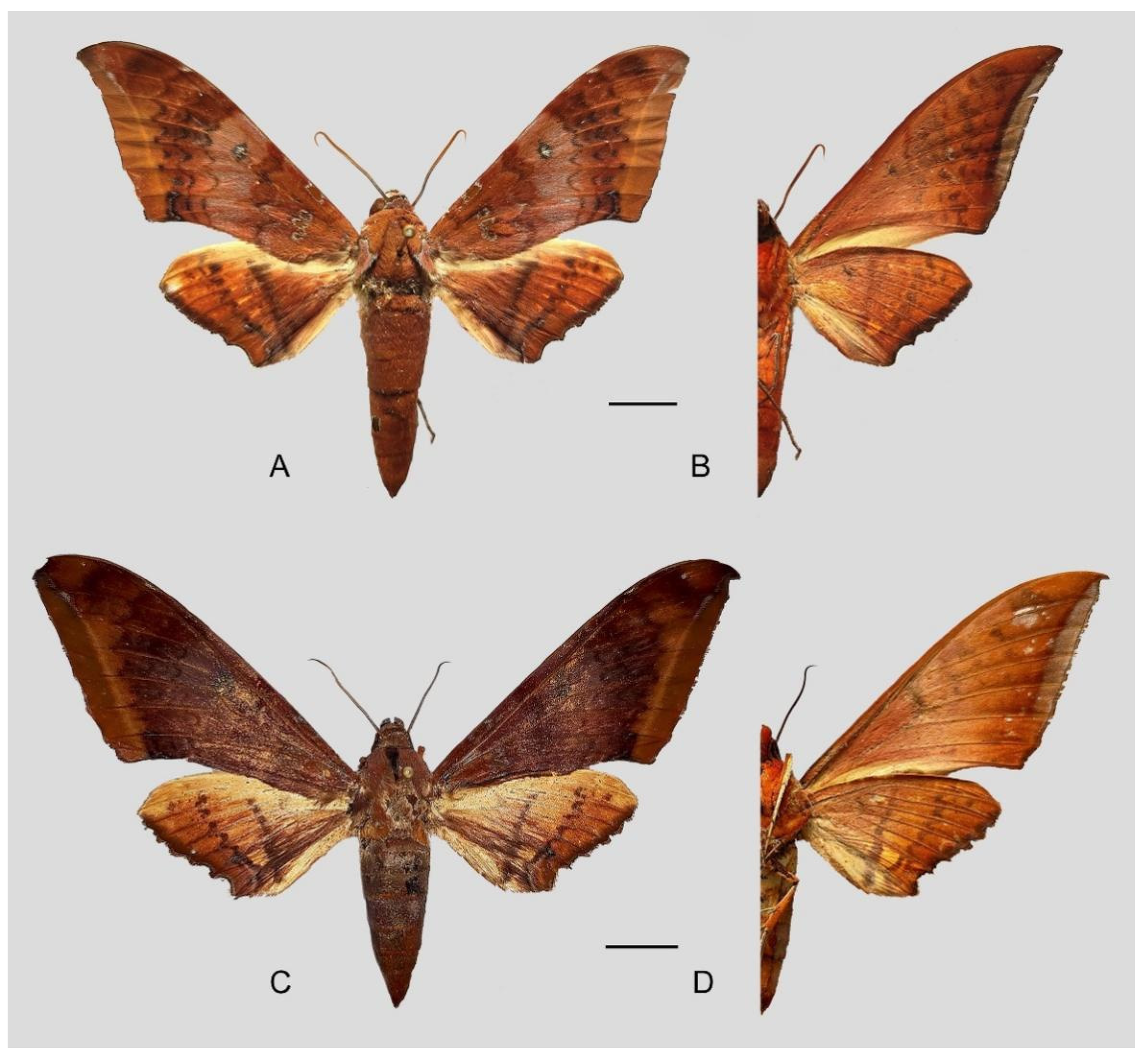 Insects 16 00223 g041