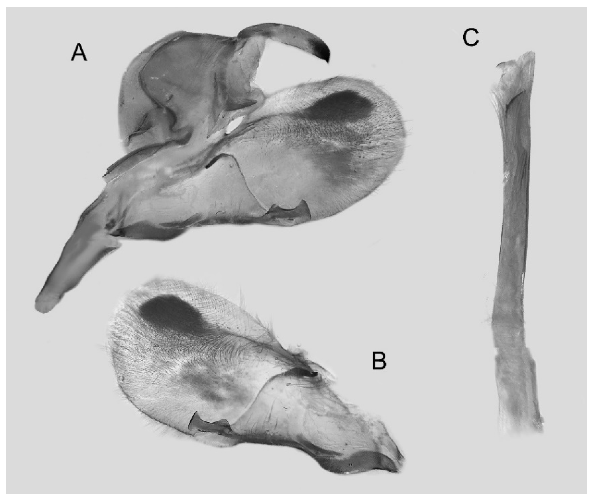 Insects 16 00223 g042