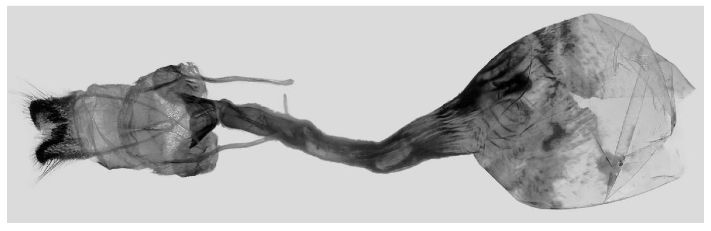 Insects 16 00223 g043