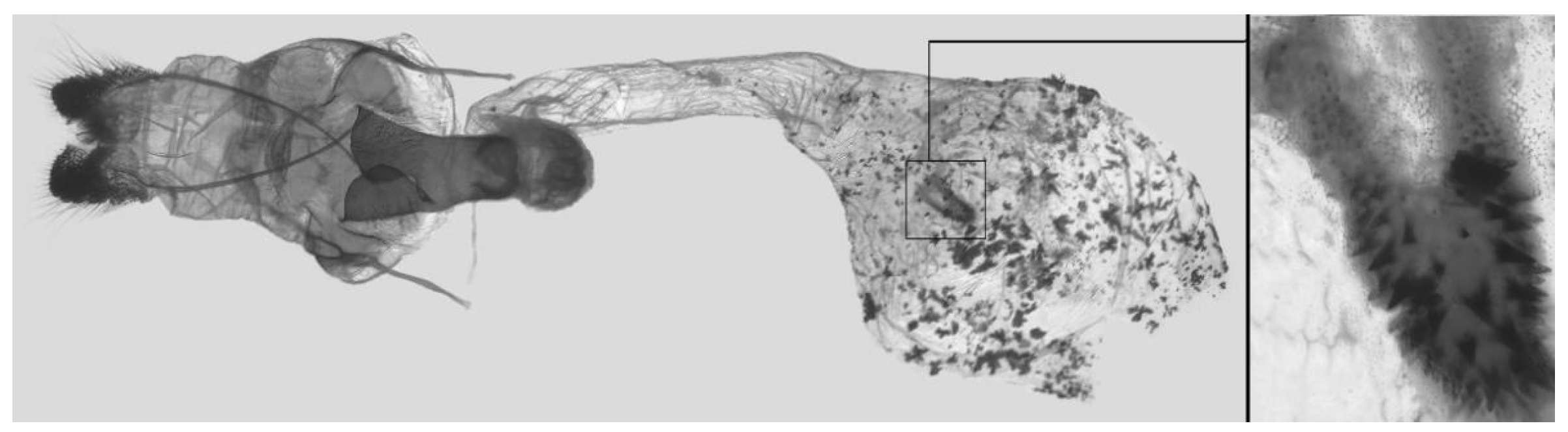 Insects 16 00223 g047