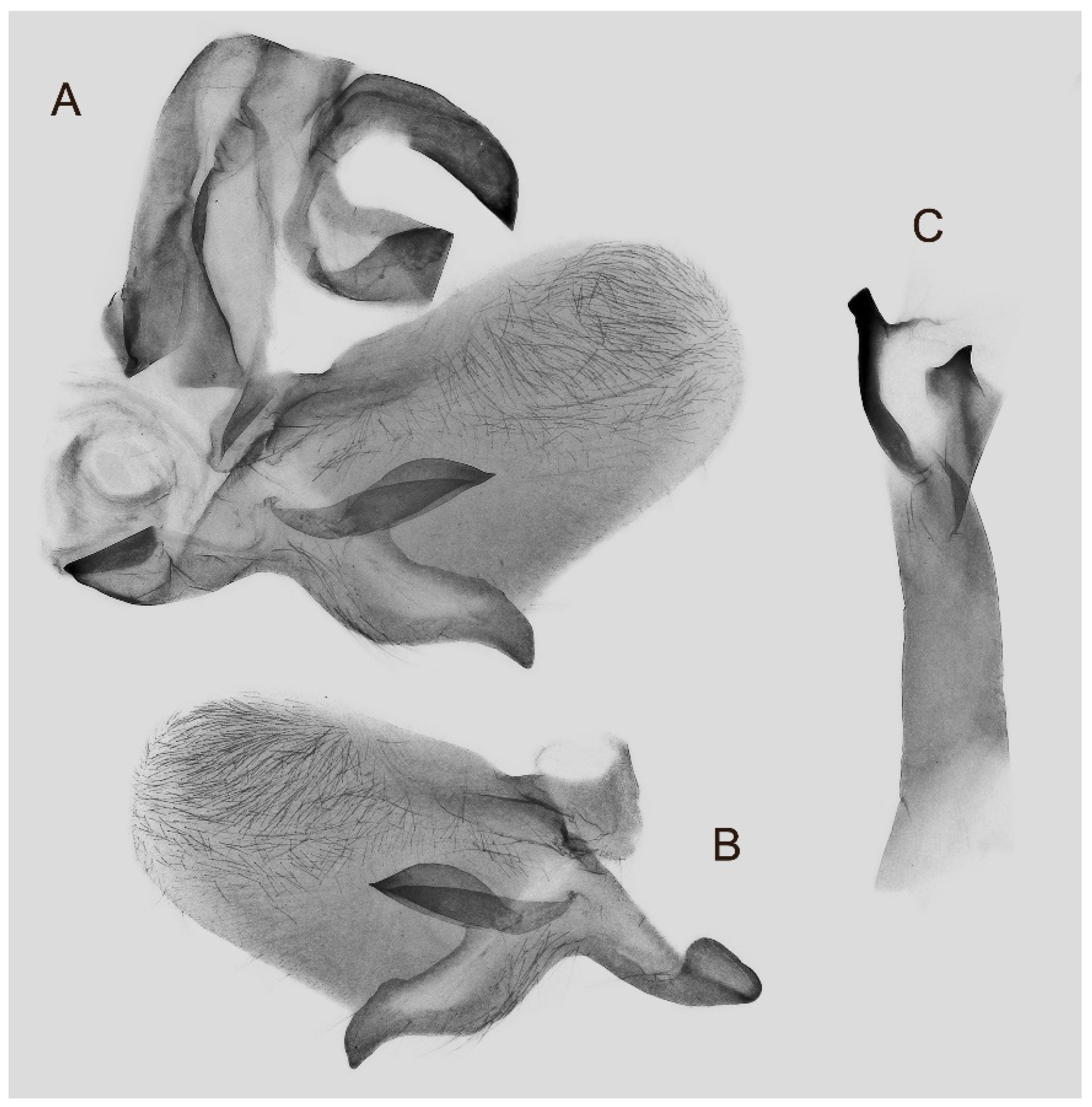 Insects 16 00223 g050