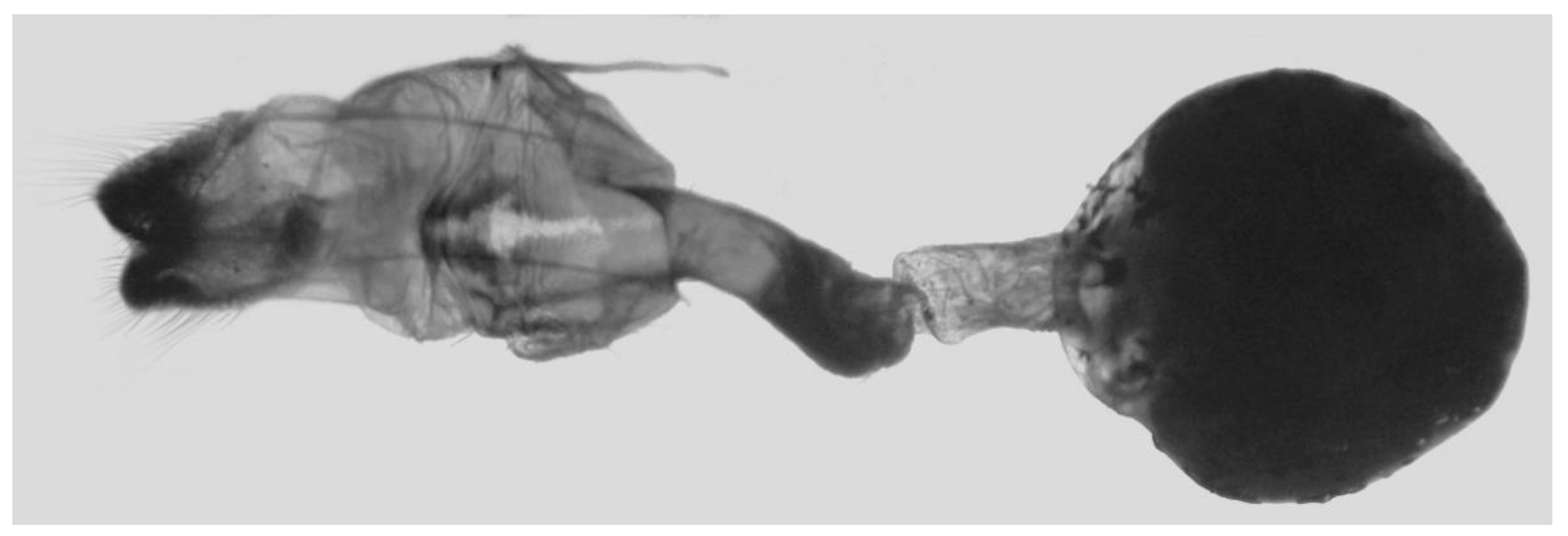 Insects 16 00223 g051