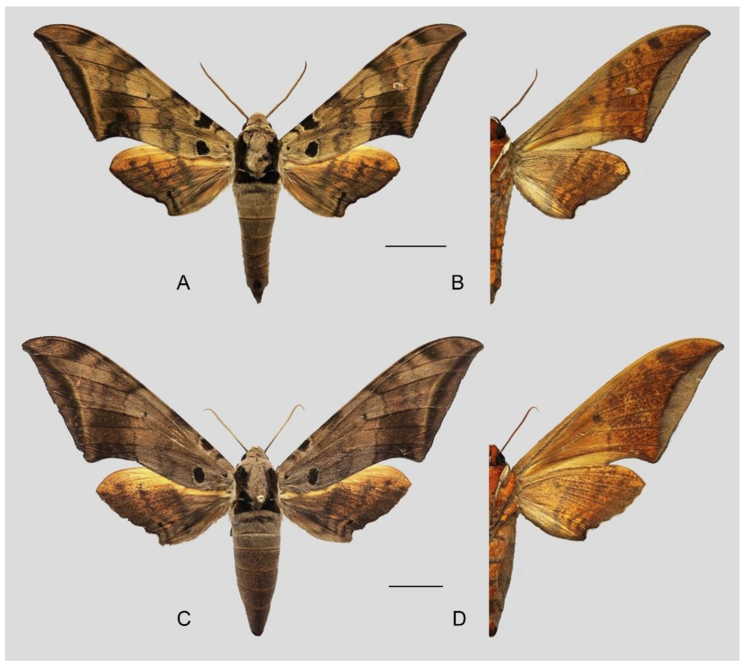 Insects 16 00223 g053