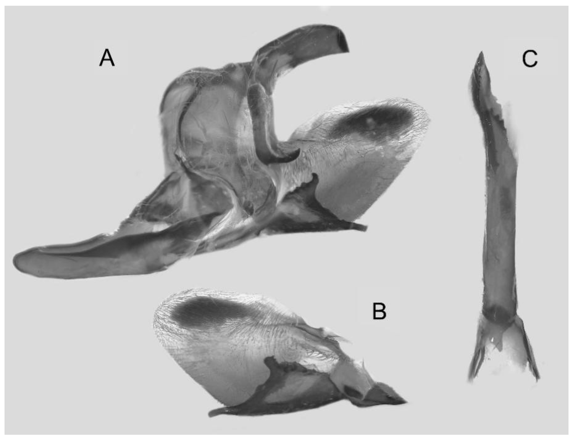 Insects 16 00223 g054