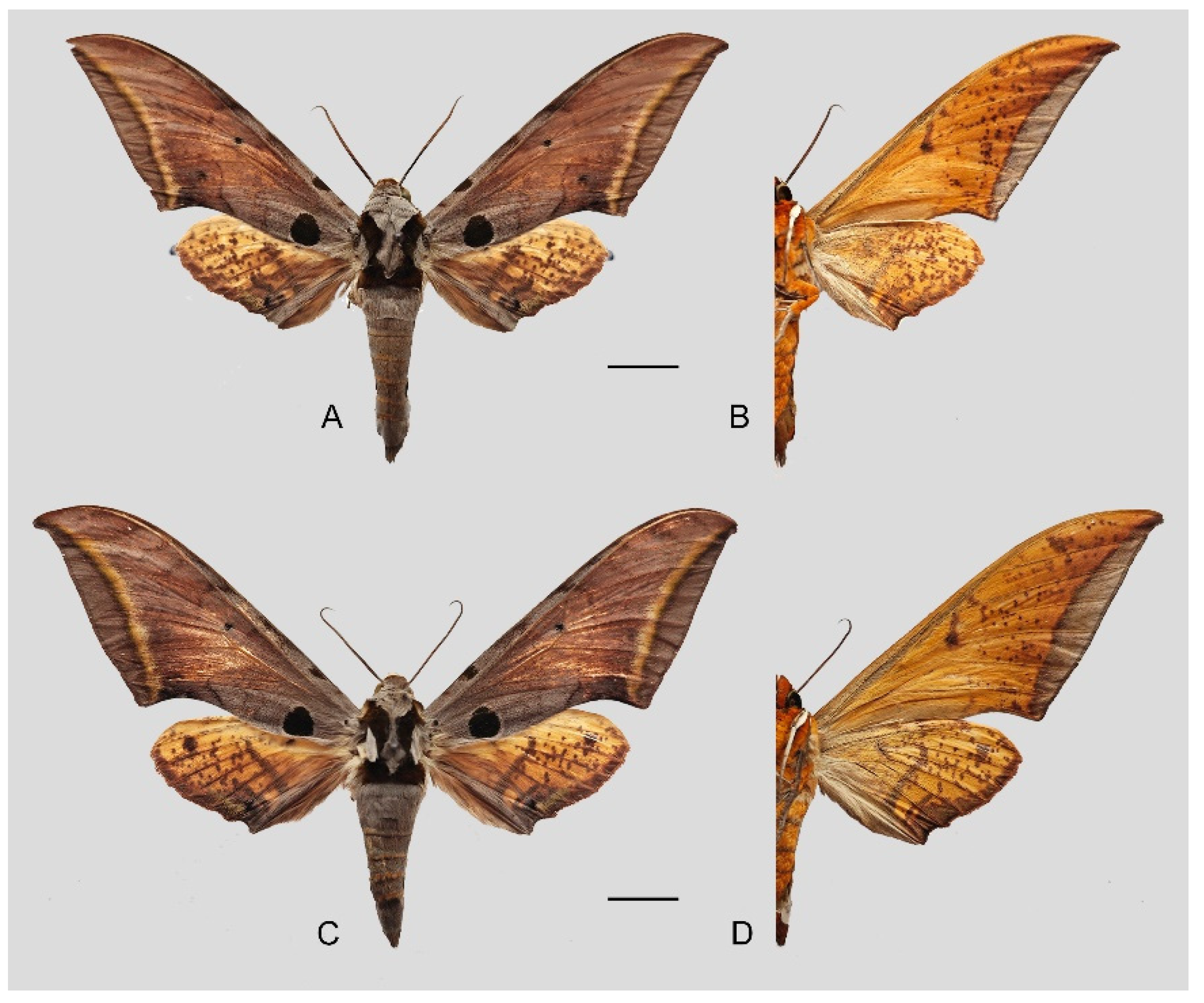 Insects 16 00223 g057