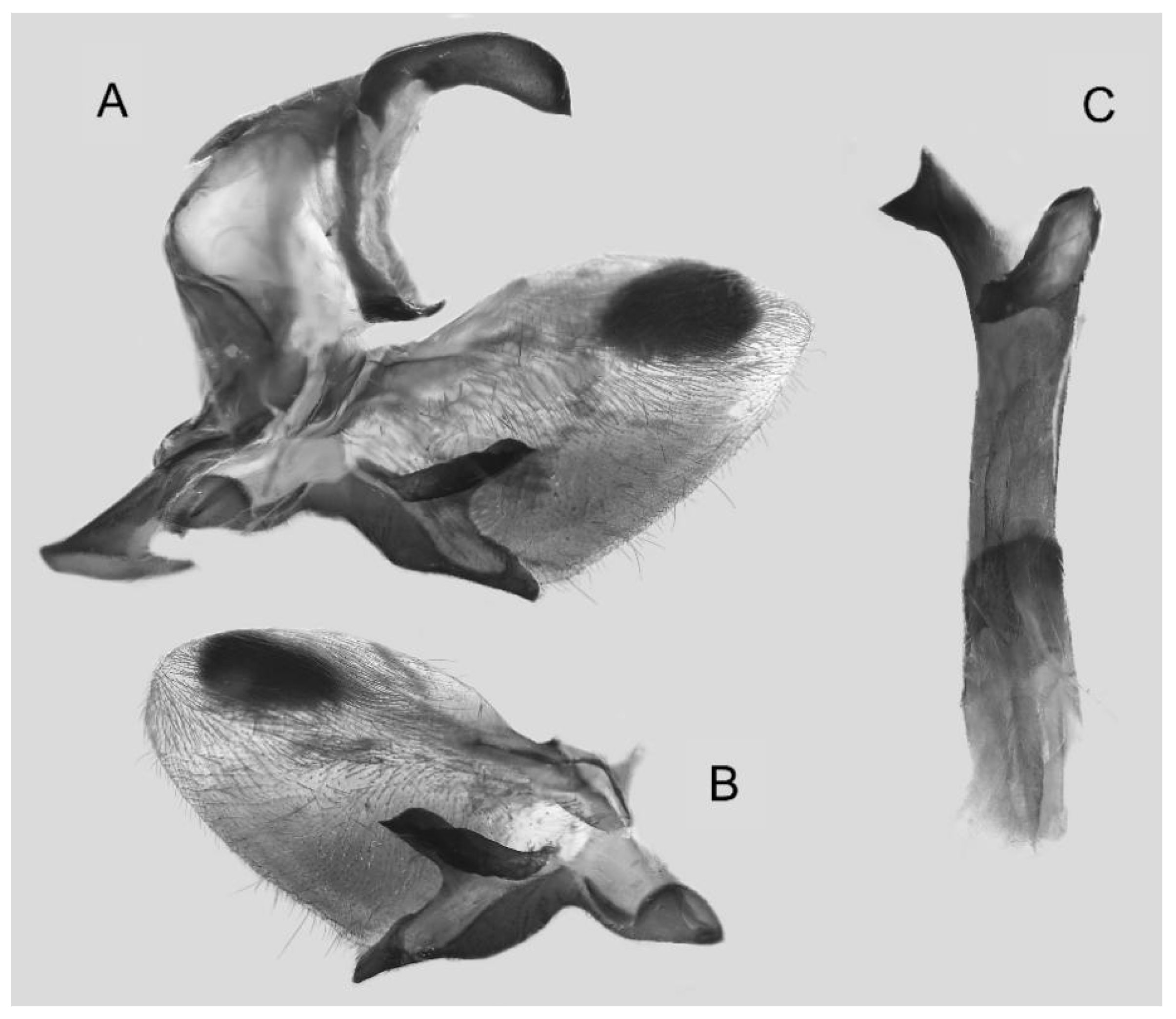 Insects 16 00223 g058