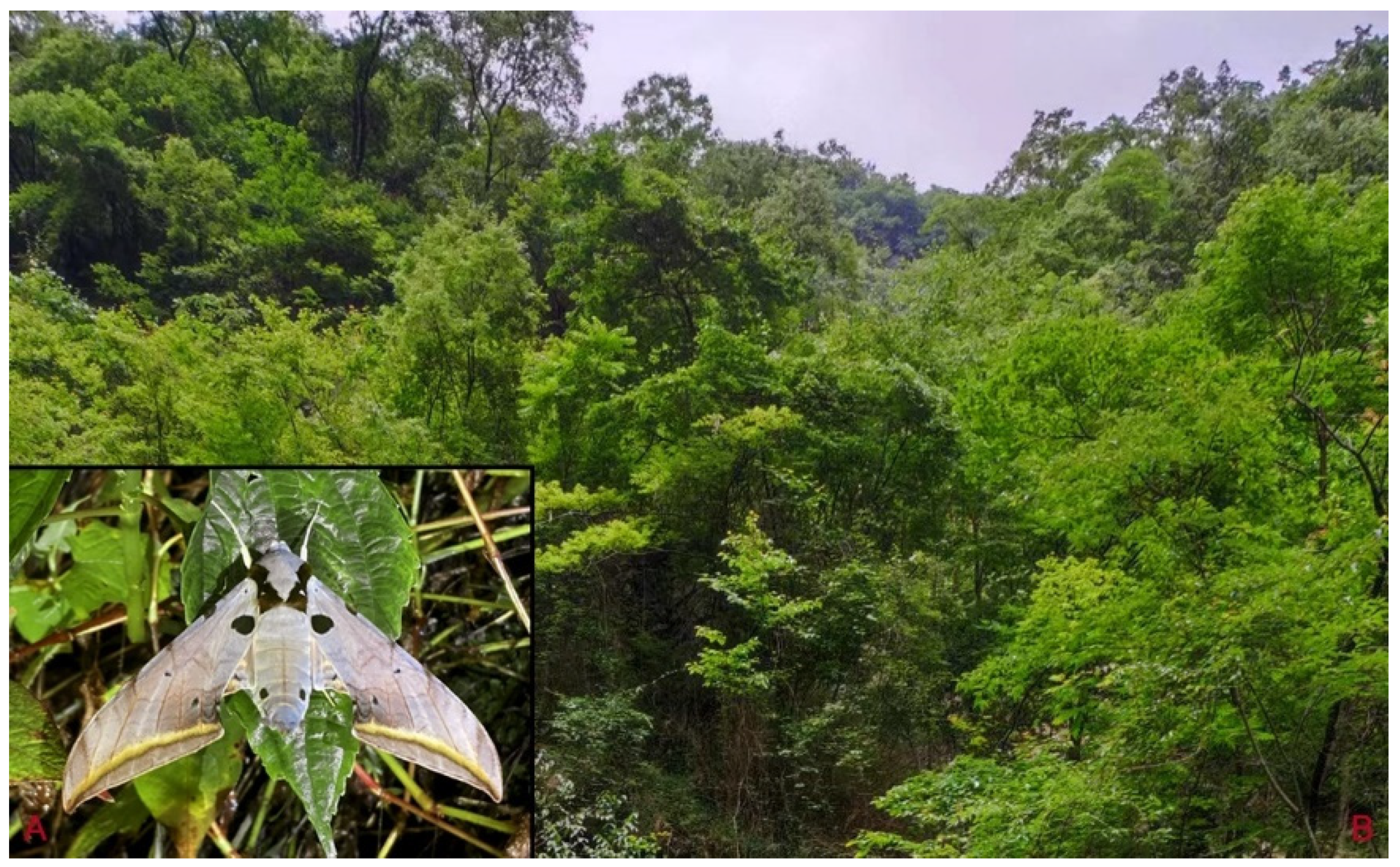 Insects 16 00223 g060