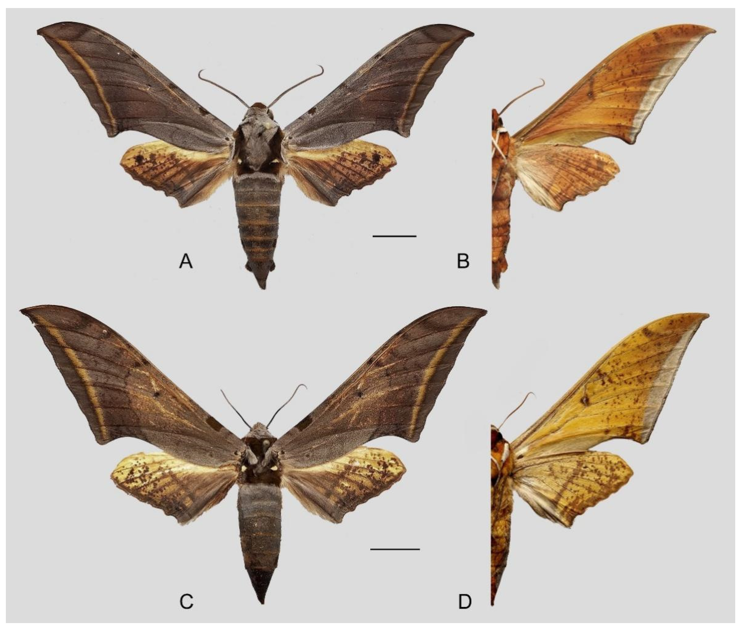 Insects 16 00223 g063