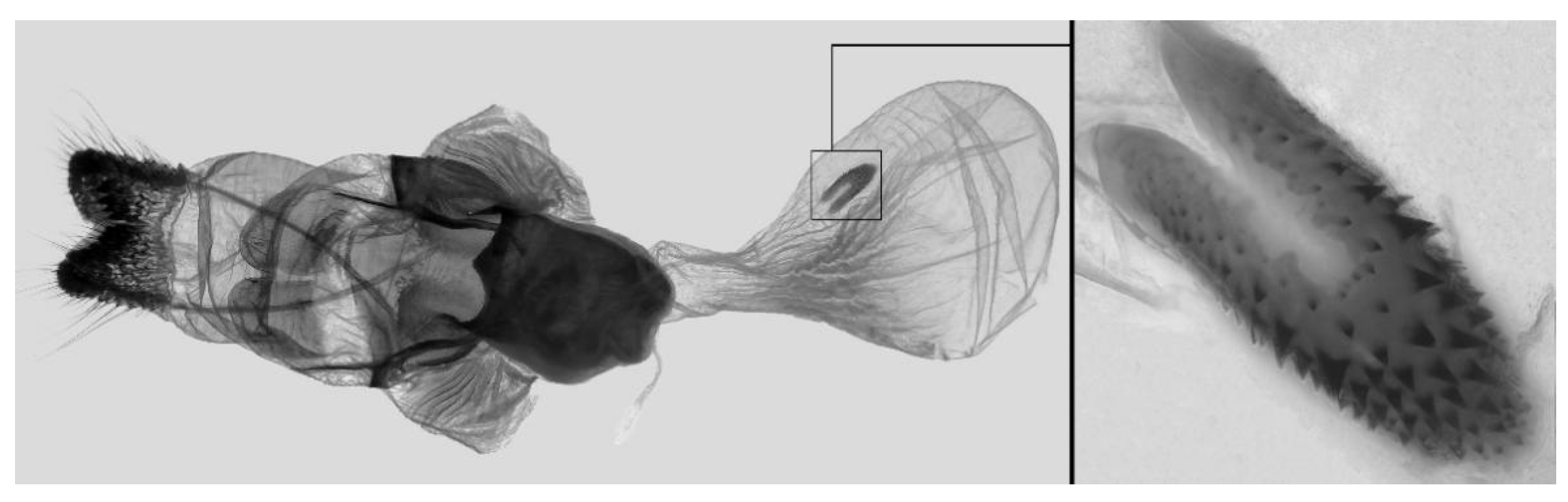 Insects 16 00223 g065