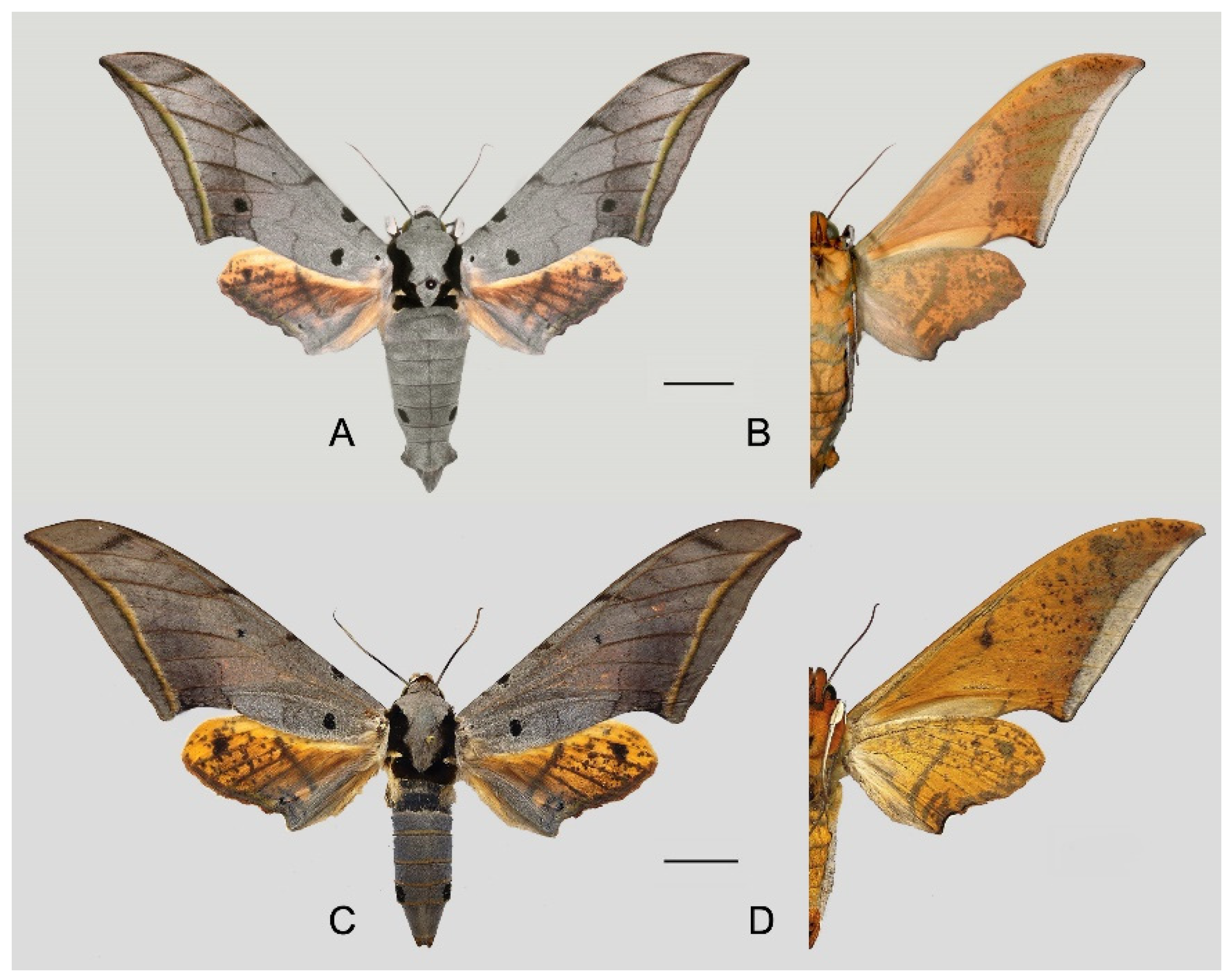 Insects 16 00223 g067