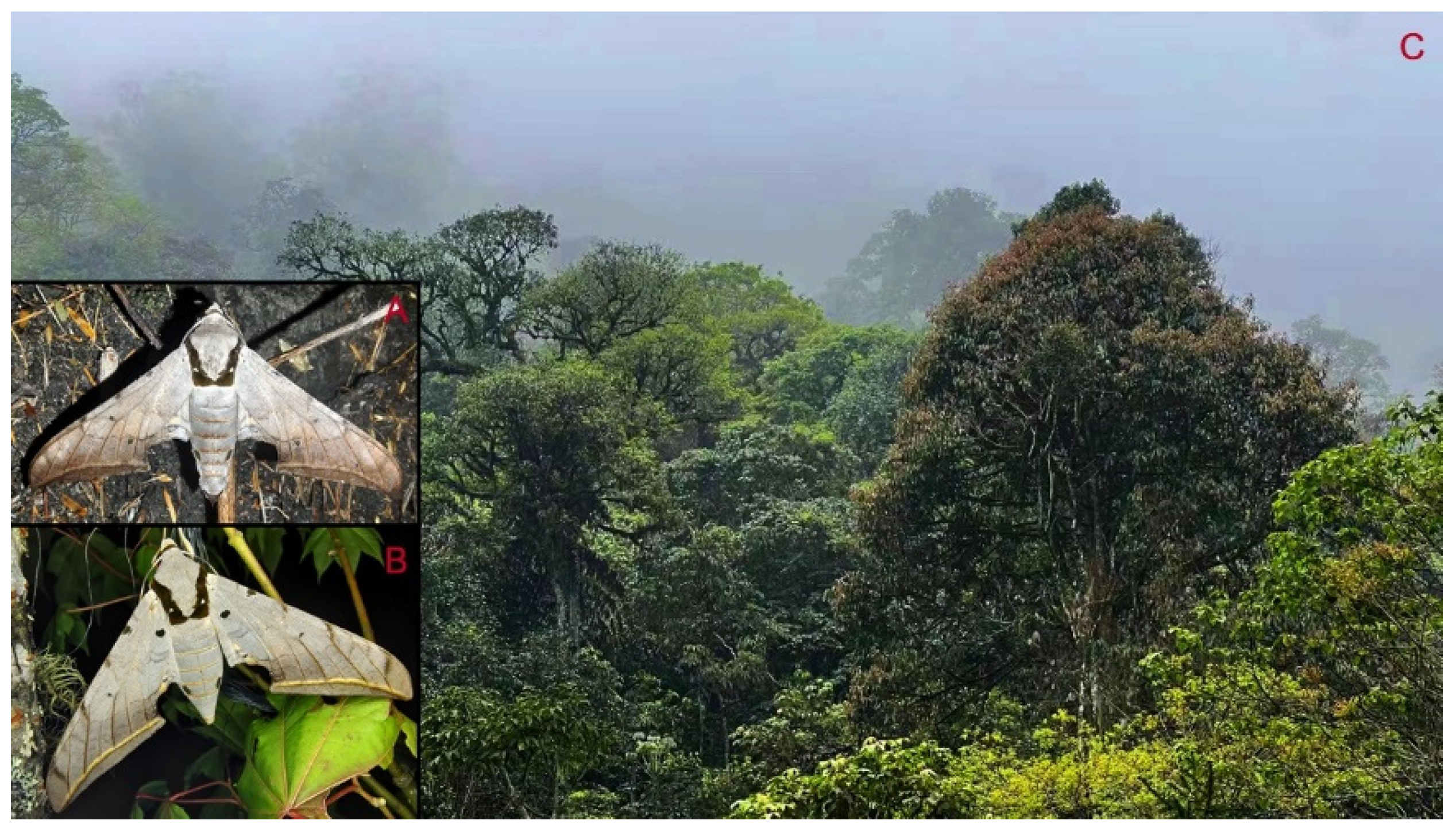 Insects 16 00223 g070