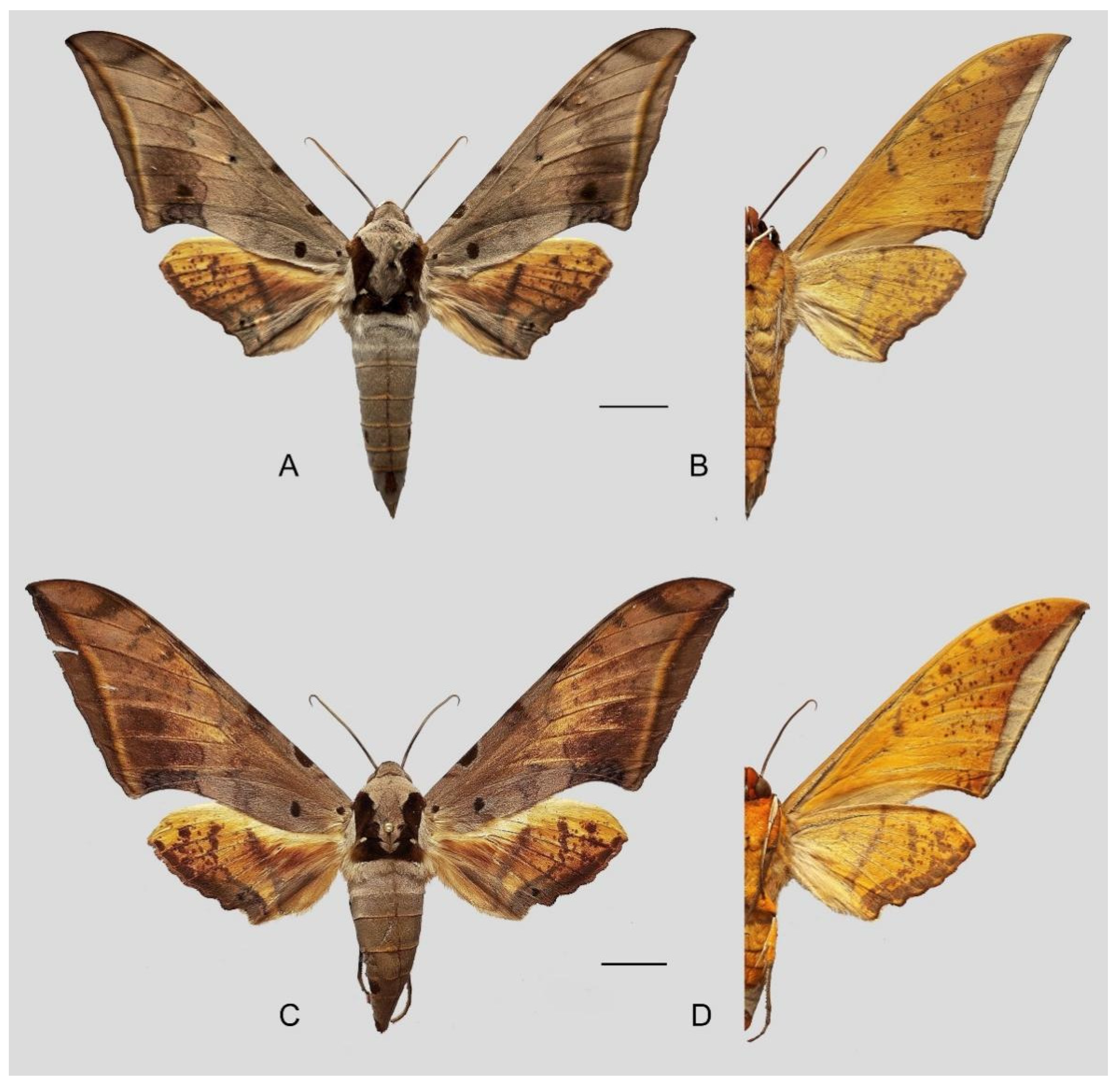 Insects 16 00223 g071
