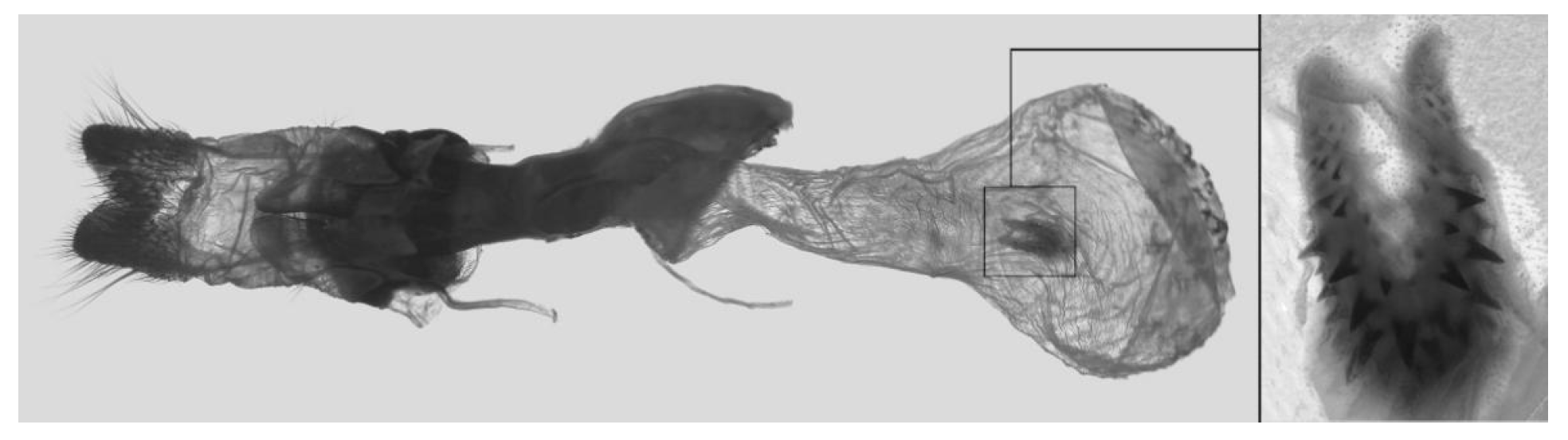 Insects 16 00223 g073