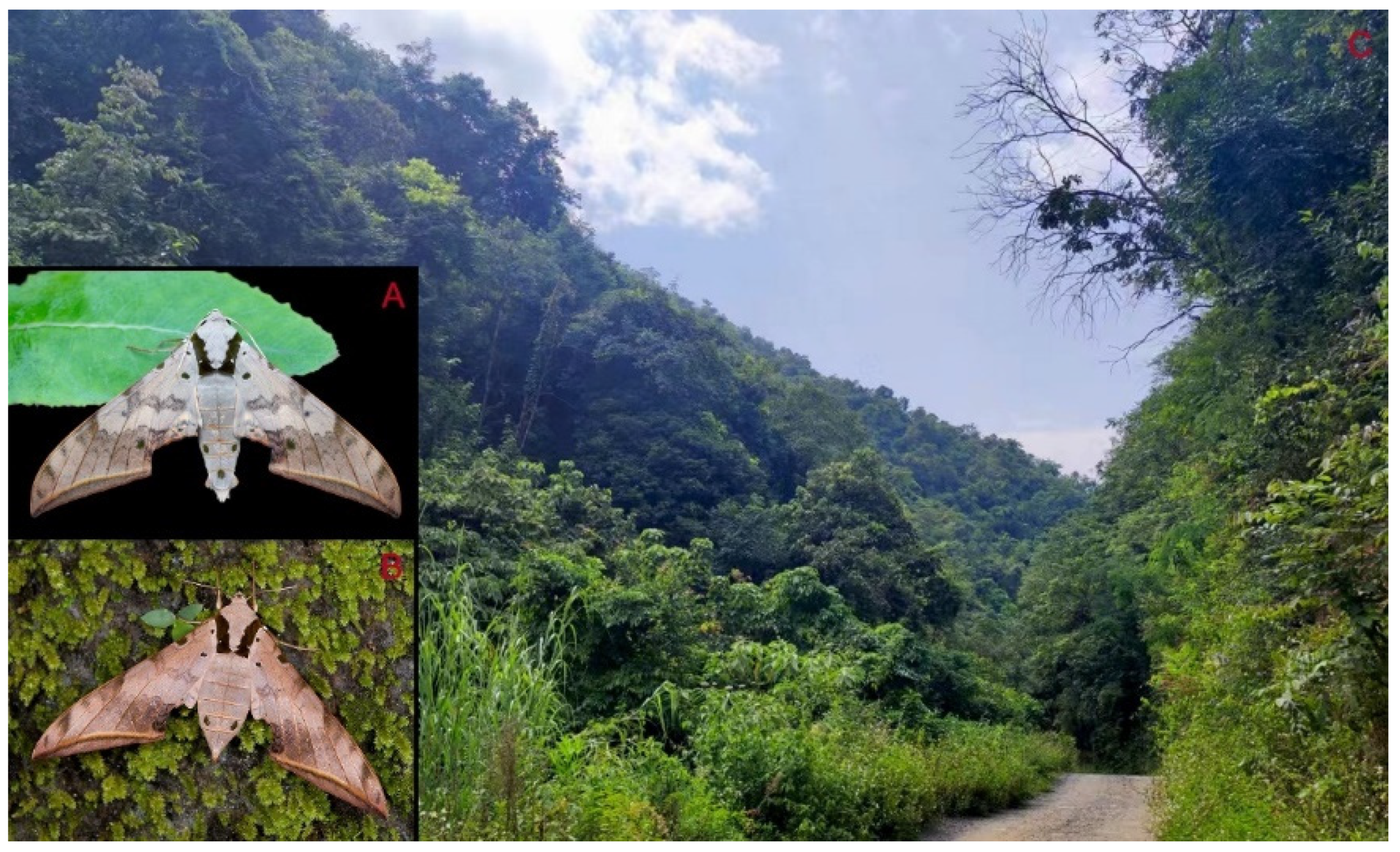 Insects 16 00223 g074