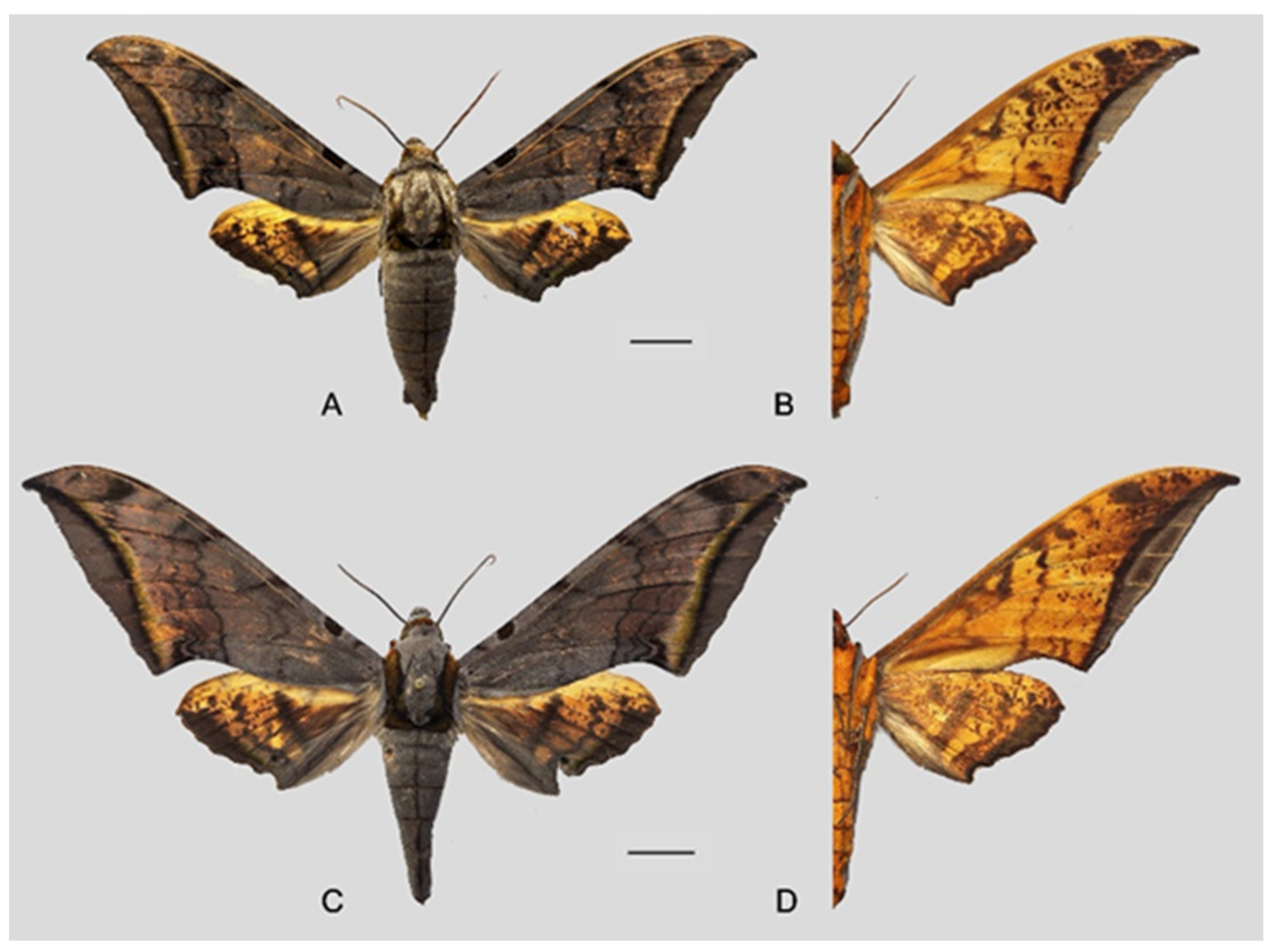 Insects 16 00223 g075