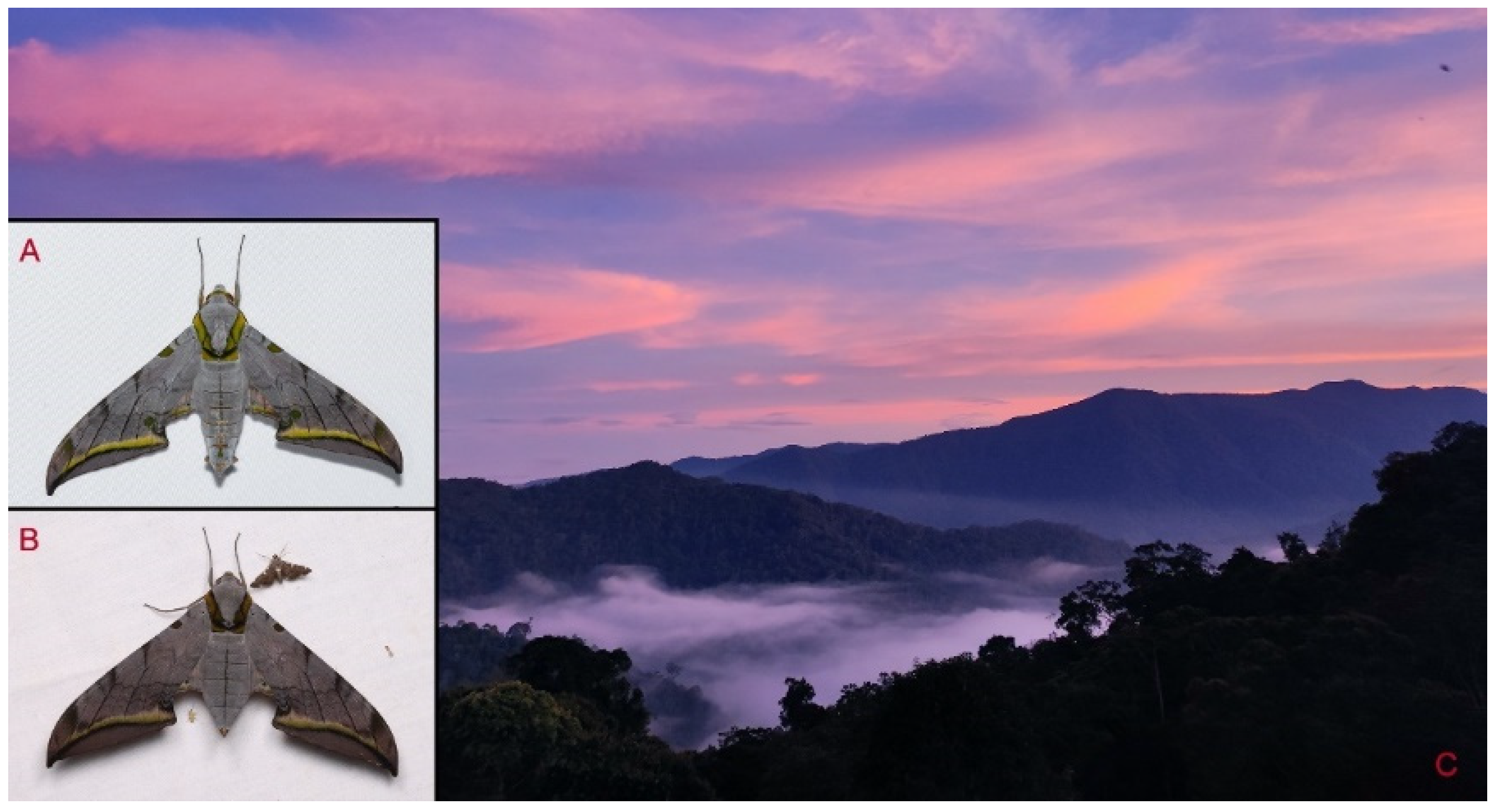 Insects 16 00223 g078