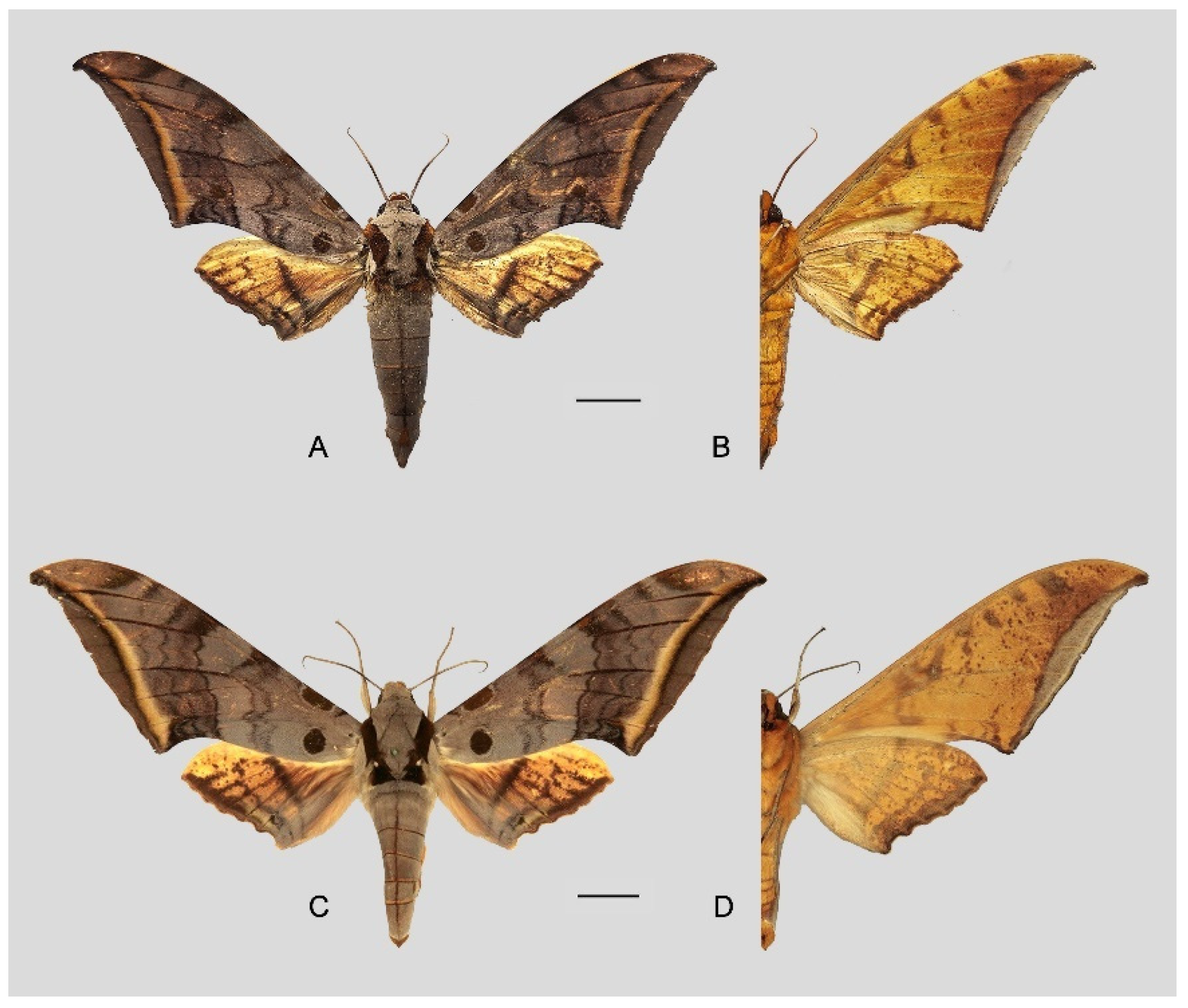 Insects 16 00223 g079