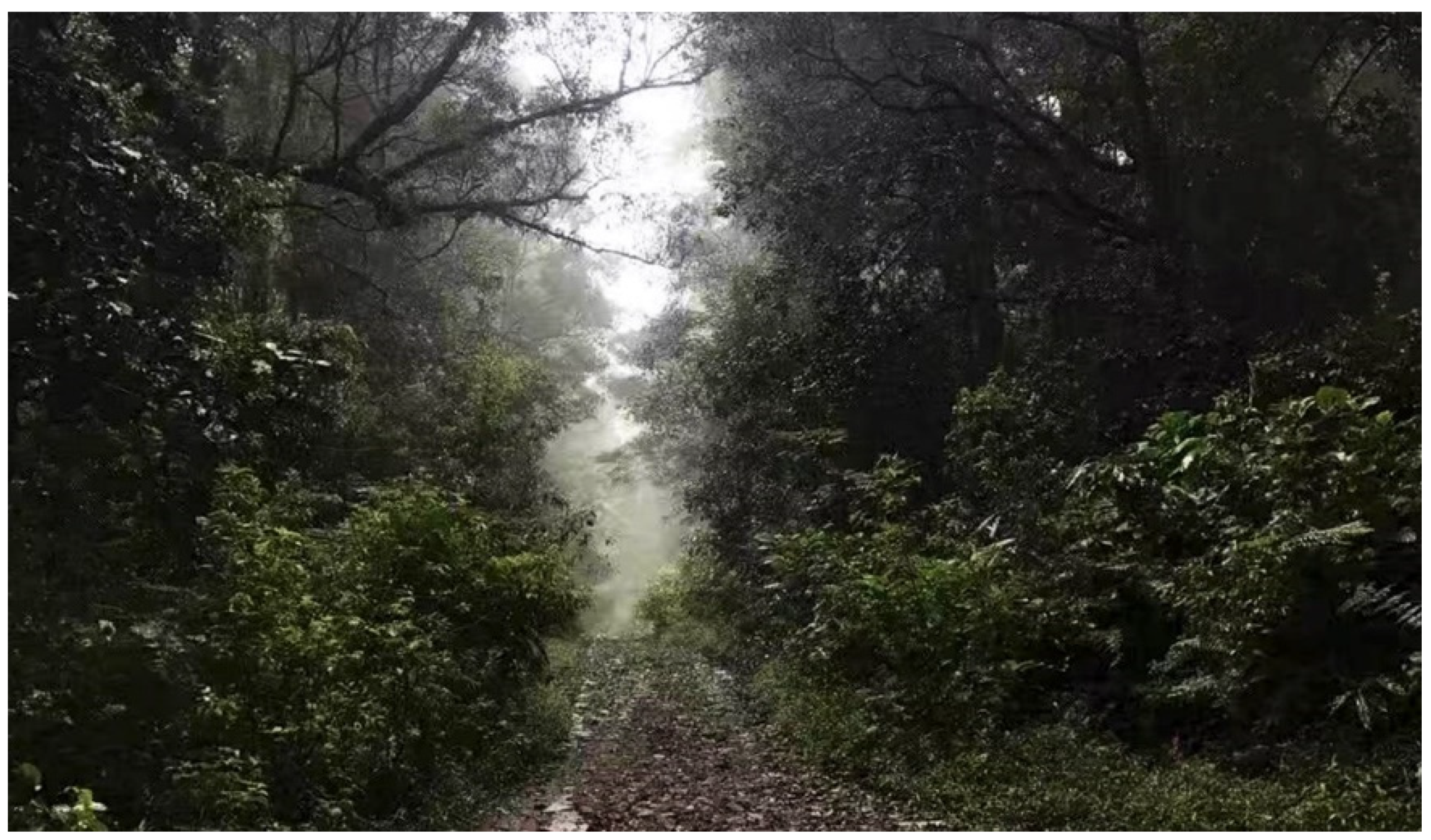 Insects 16 00223 g081