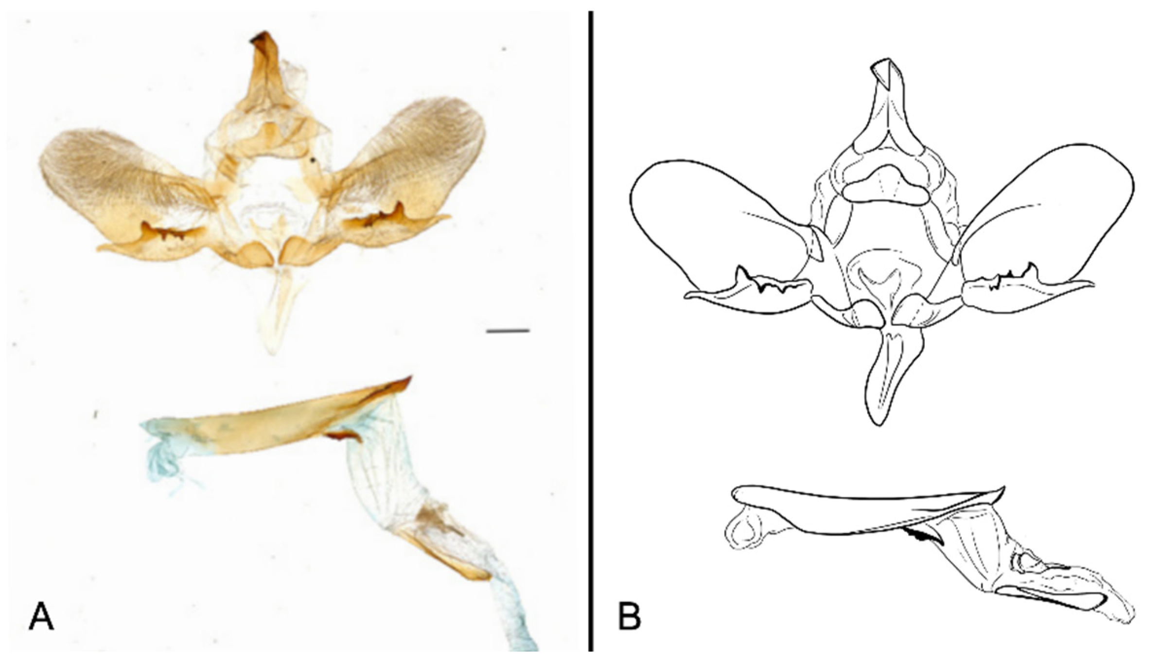 Insects 16 00223 g083