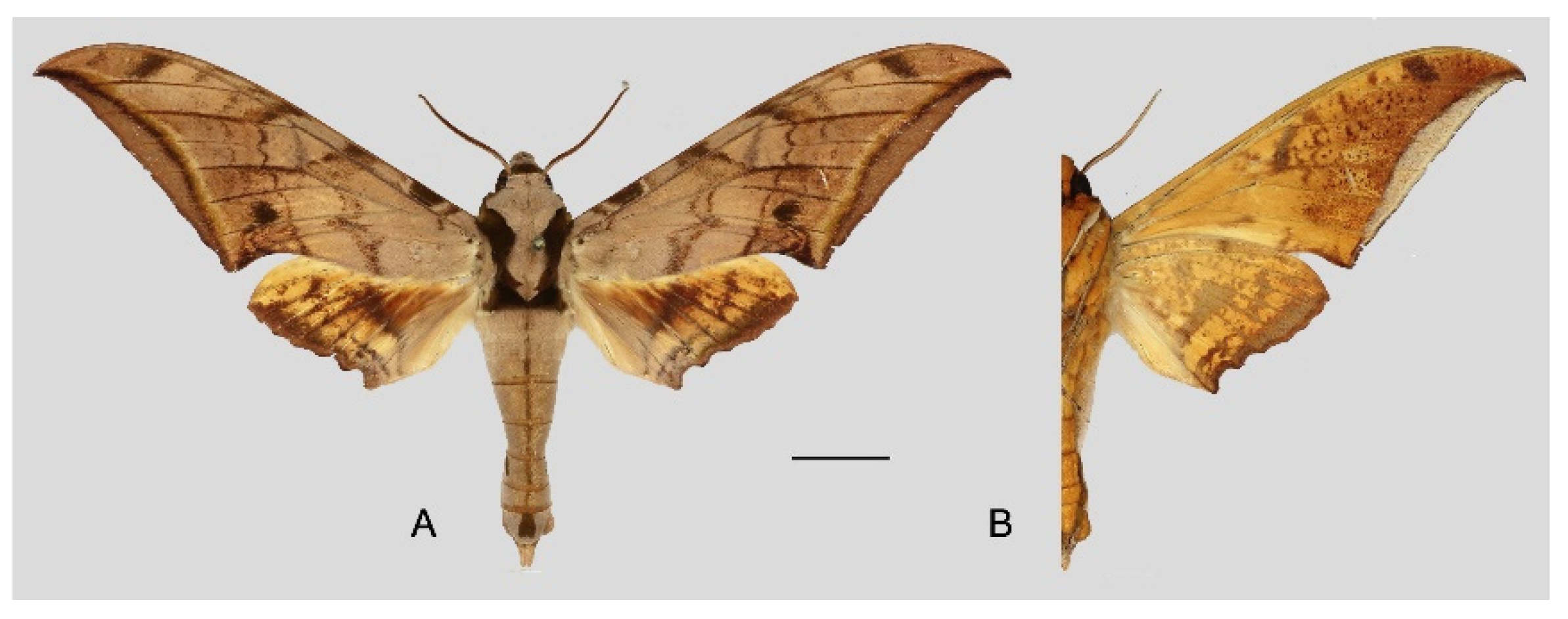 Insects 16 00223 g085