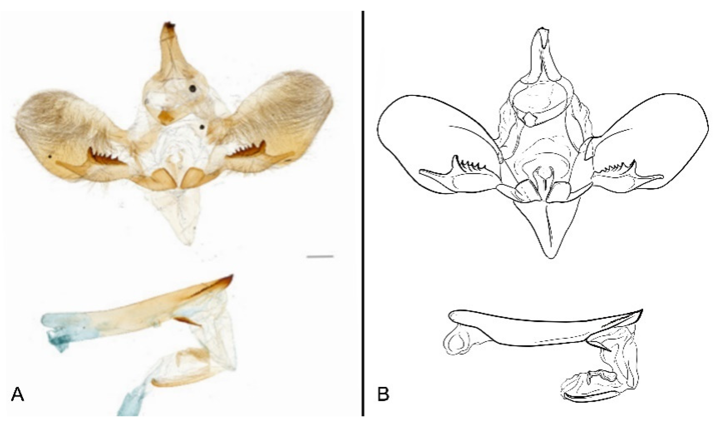 Insects 16 00223 g086