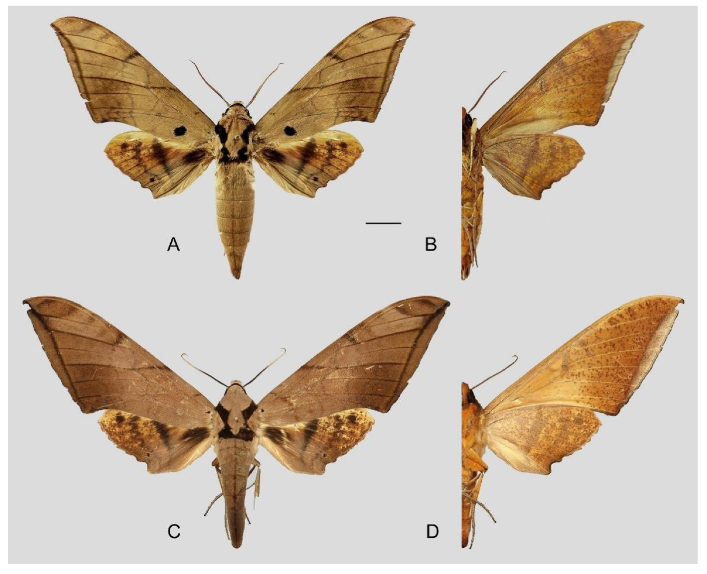 Insects 16 00223 g087