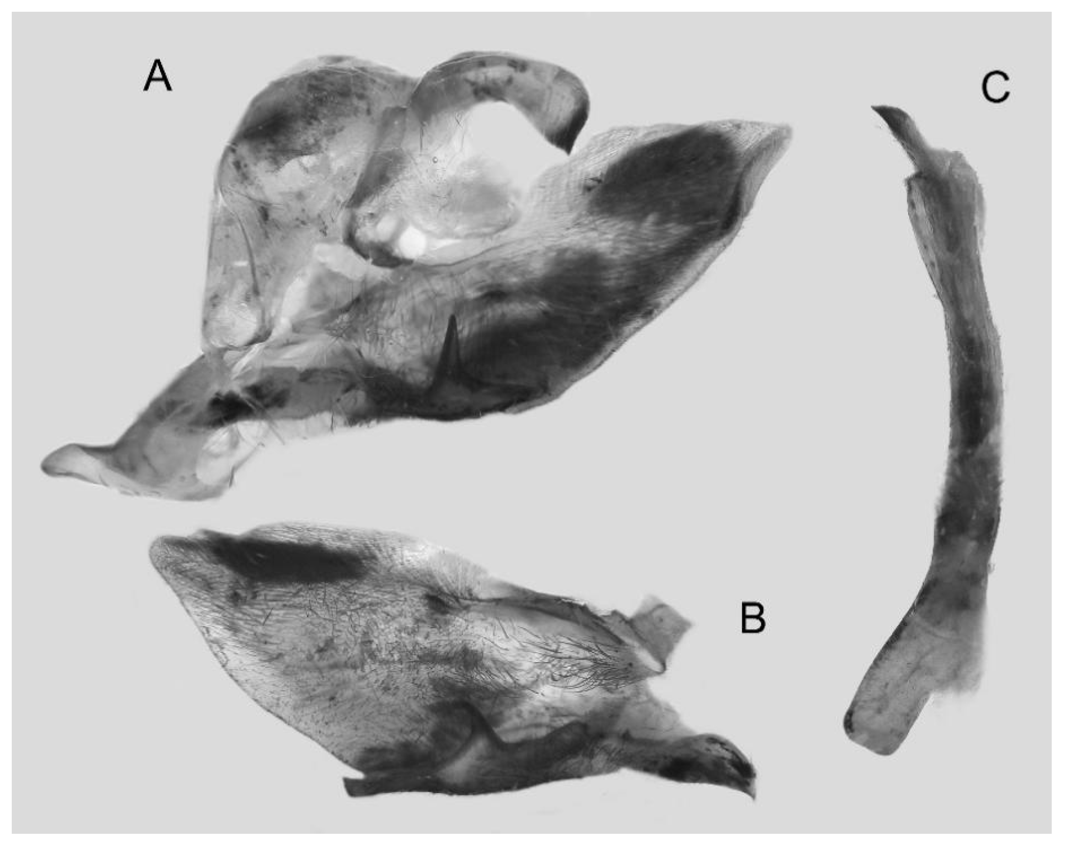 Insects 16 00223 g088