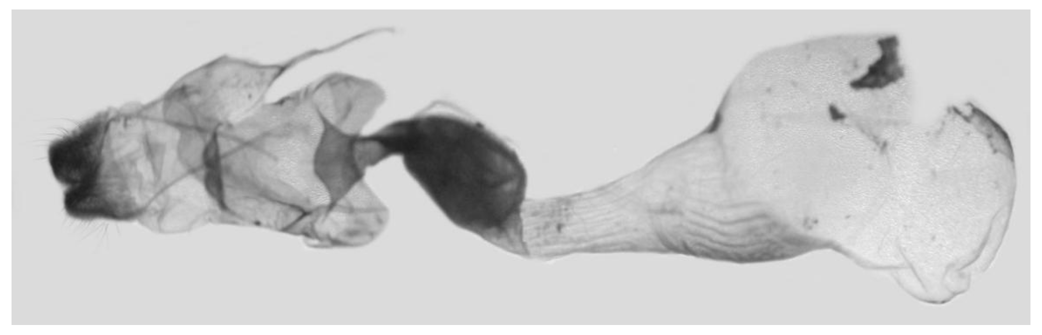 Insects 16 00223 g089