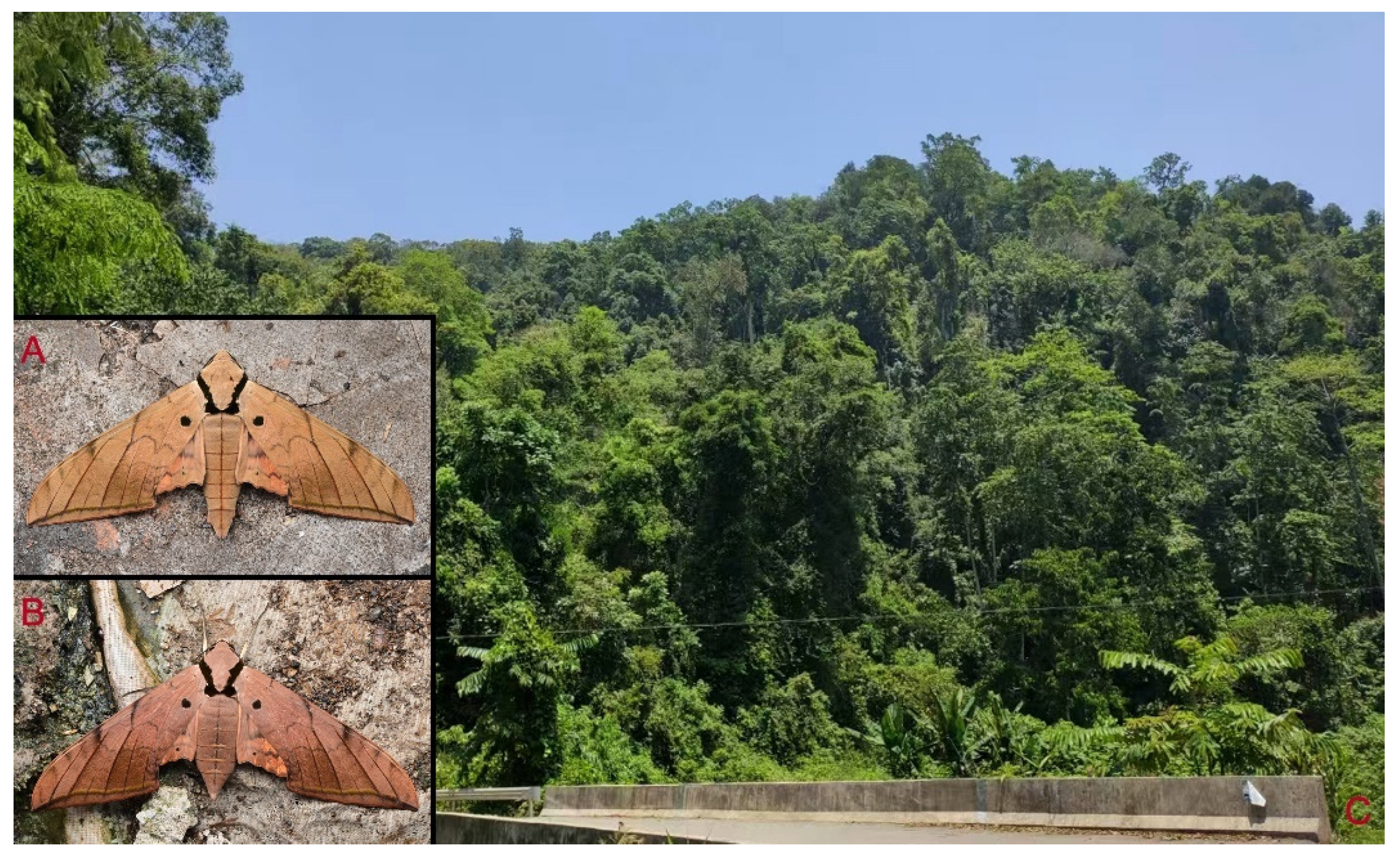 Insects 16 00223 g090